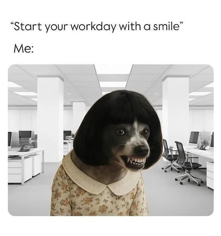 Pawsitive work mindset?

#Pawjourr #TheWoofAgency #Memes