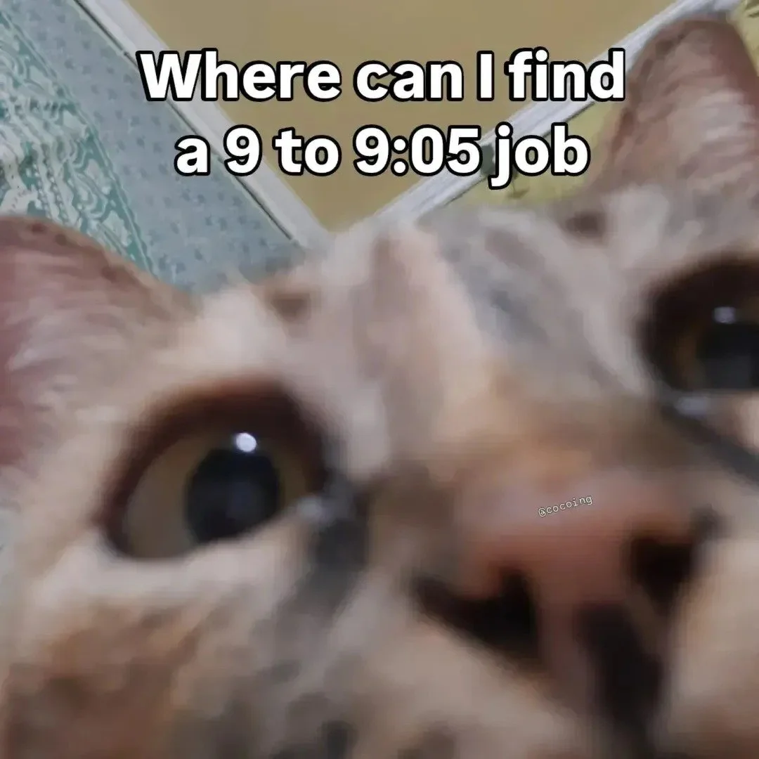 Anyone hiring?😅

📸: @cocoing