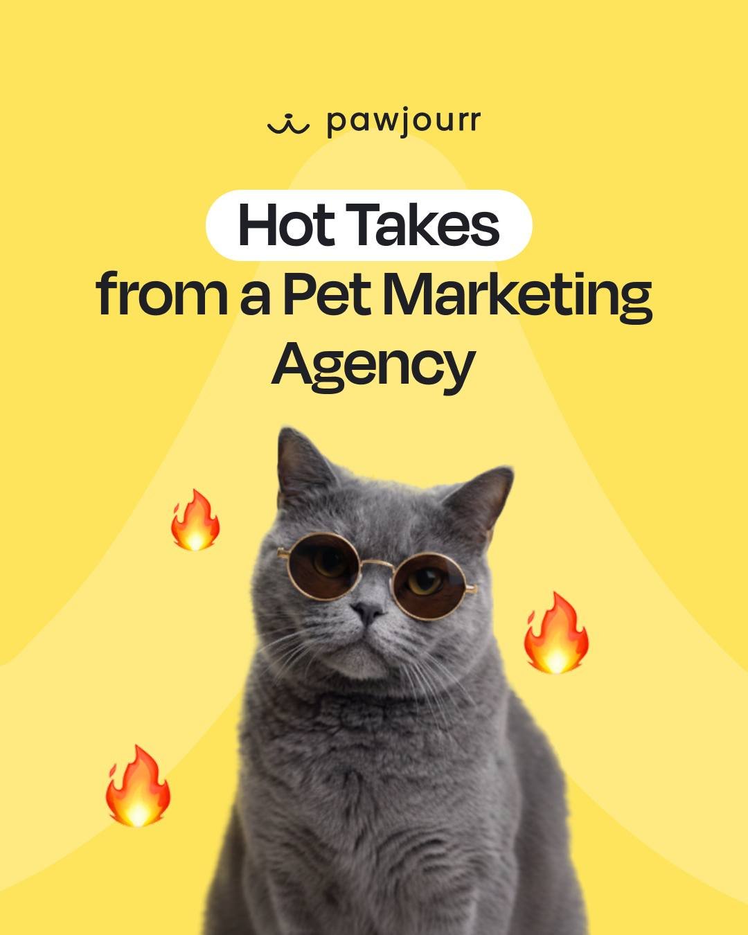 (aka things we shouldn&rsquo;t say out loud) 🤫