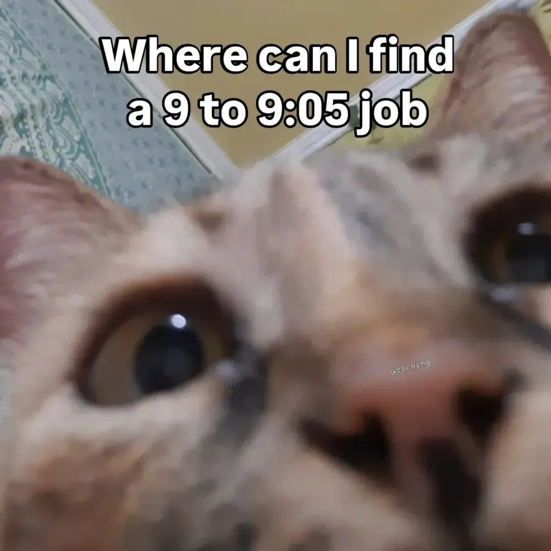 Anyone hiring?😅

📸: @cocoing