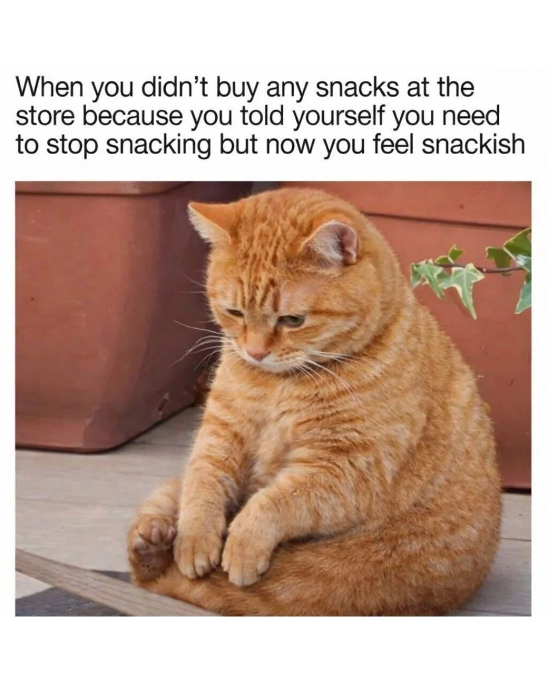 I would like to speak to past me immediately😾