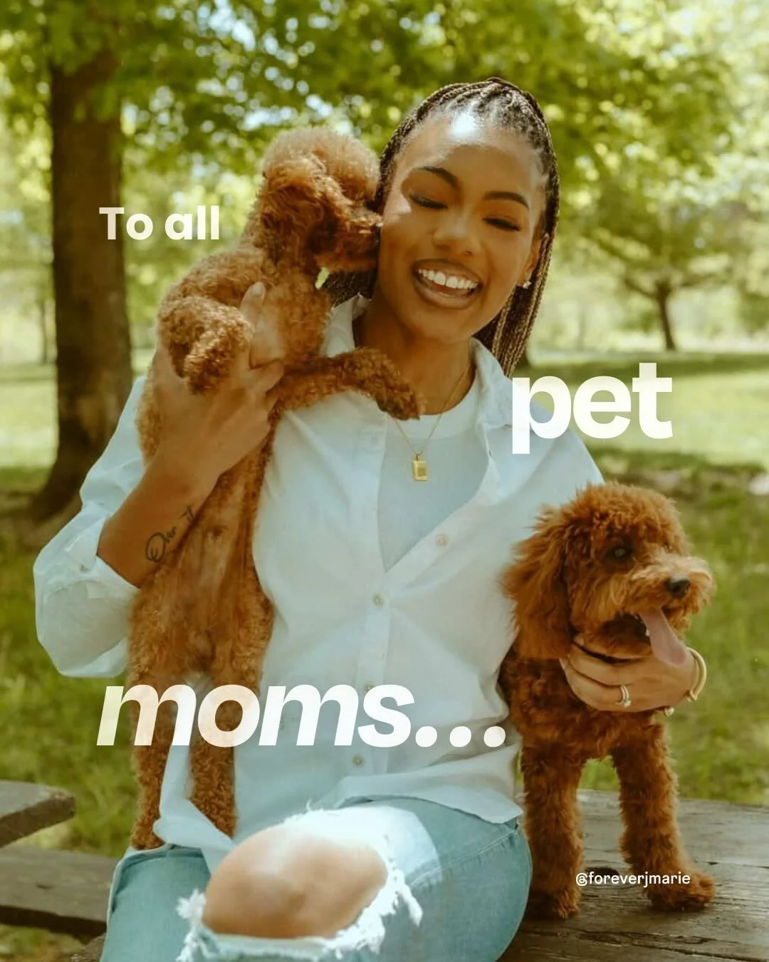 This one&rsquo;s for every pet mom who loves unconditionally, no questions asked 🥹 Hope your mother's day was extra special 💛

*Featuring the most adorable fur babies from our amazing creator fam*