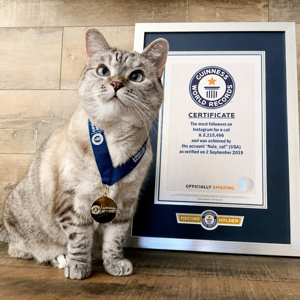 Top 10 Pet Influencers Driving Business Growth in 2026