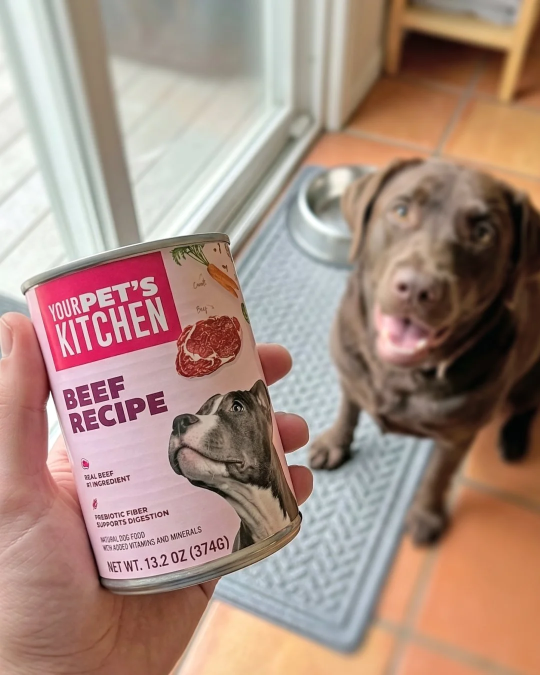 UGC for Pet Brands: Why Real Content Outsells Studio Ads