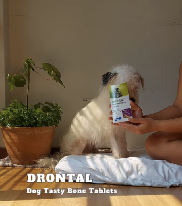 Screenshot 2024-11-15 at 4.12.46 PM.png