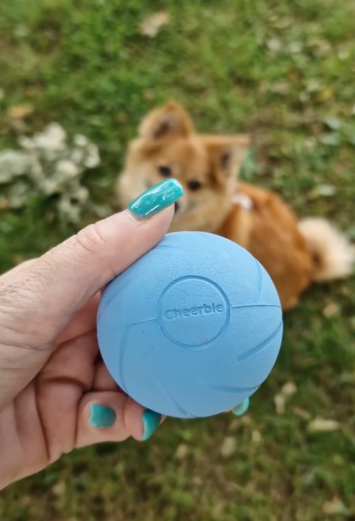 Screenshot 2025-07-02 at 1.51.07 PM.png