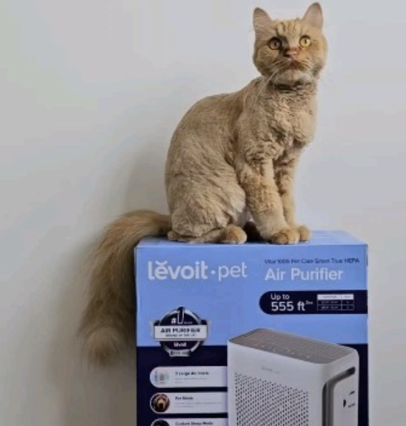 Screenshot 2024-11-18 at 12.46.30 PM.png