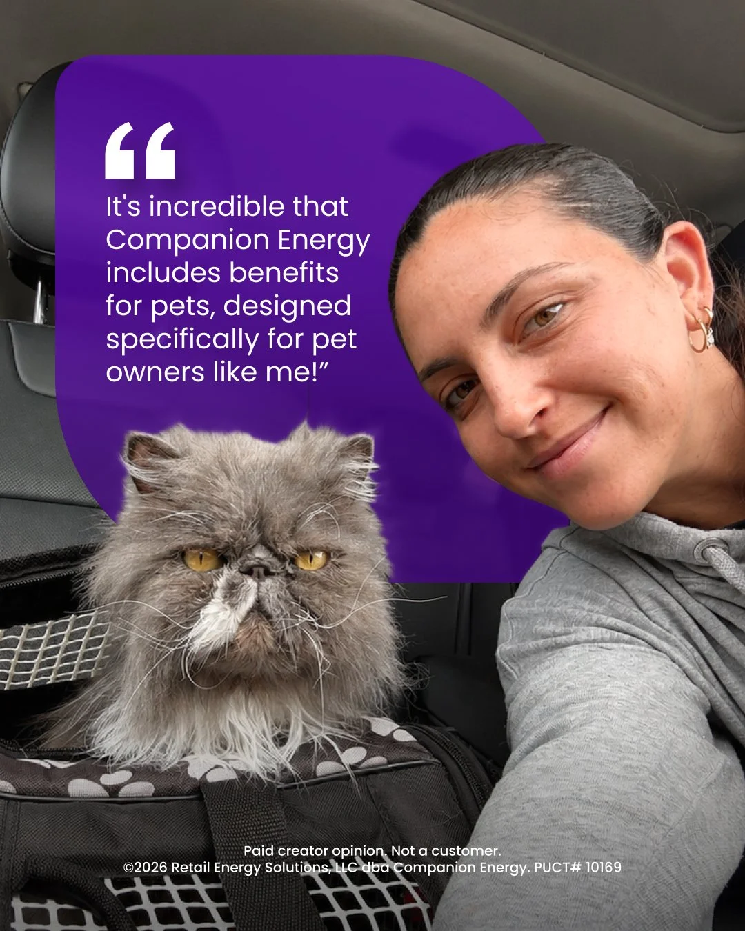 Companion Energy