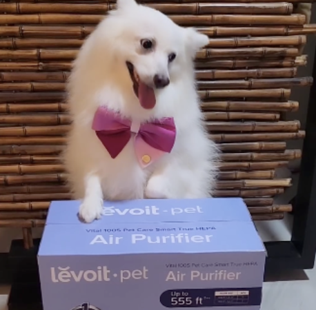 Screenshot 2024-11-18 at 12.42.44 PM.png