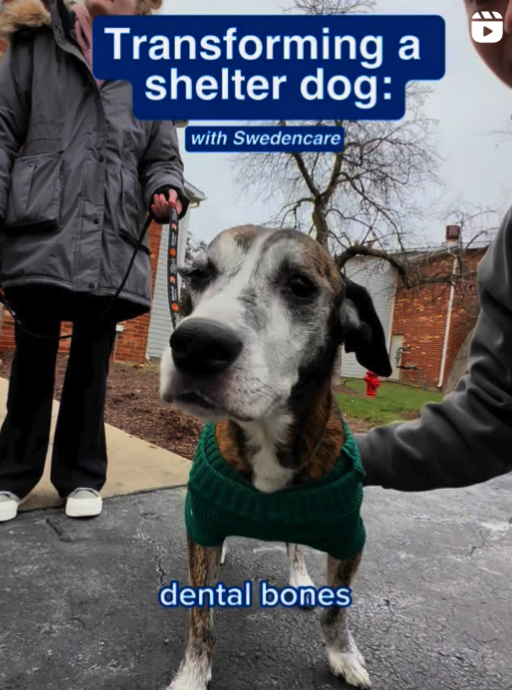 Swedencare (US & UK)