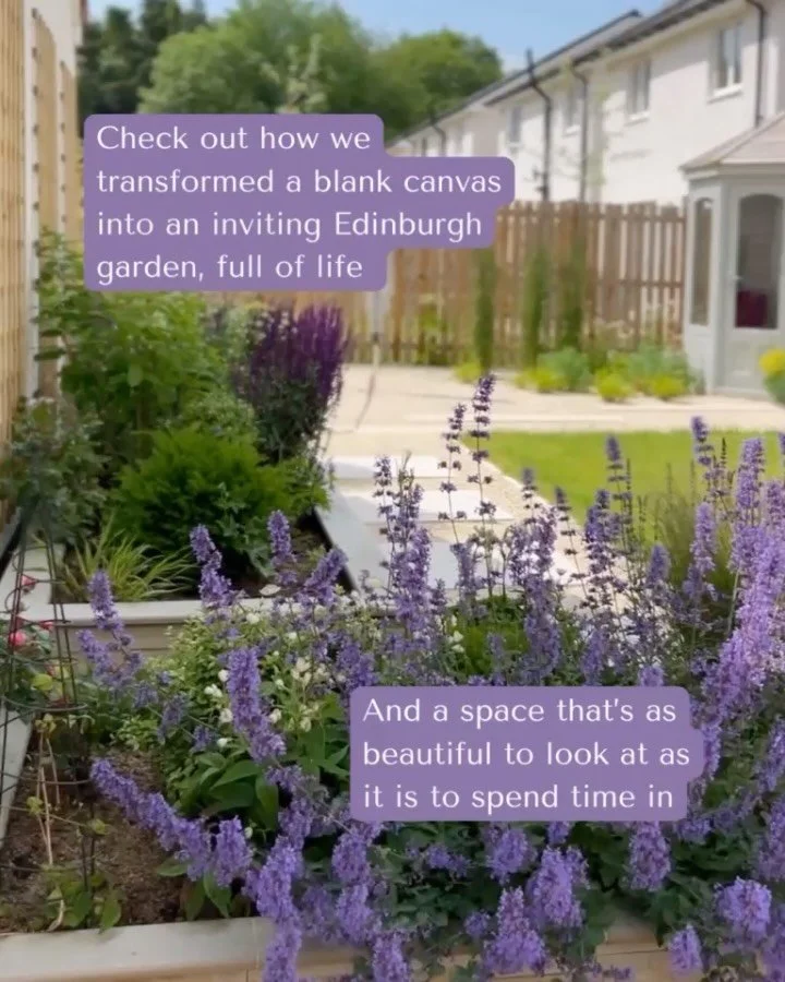 Check out how we transformed this new build garden in Edinburgh into a space that&rsquo;s as beautiful to look at as it is to spend time in. 

This garden started life as a totally flat, blank canvas. Lots of potential but in need of some design work