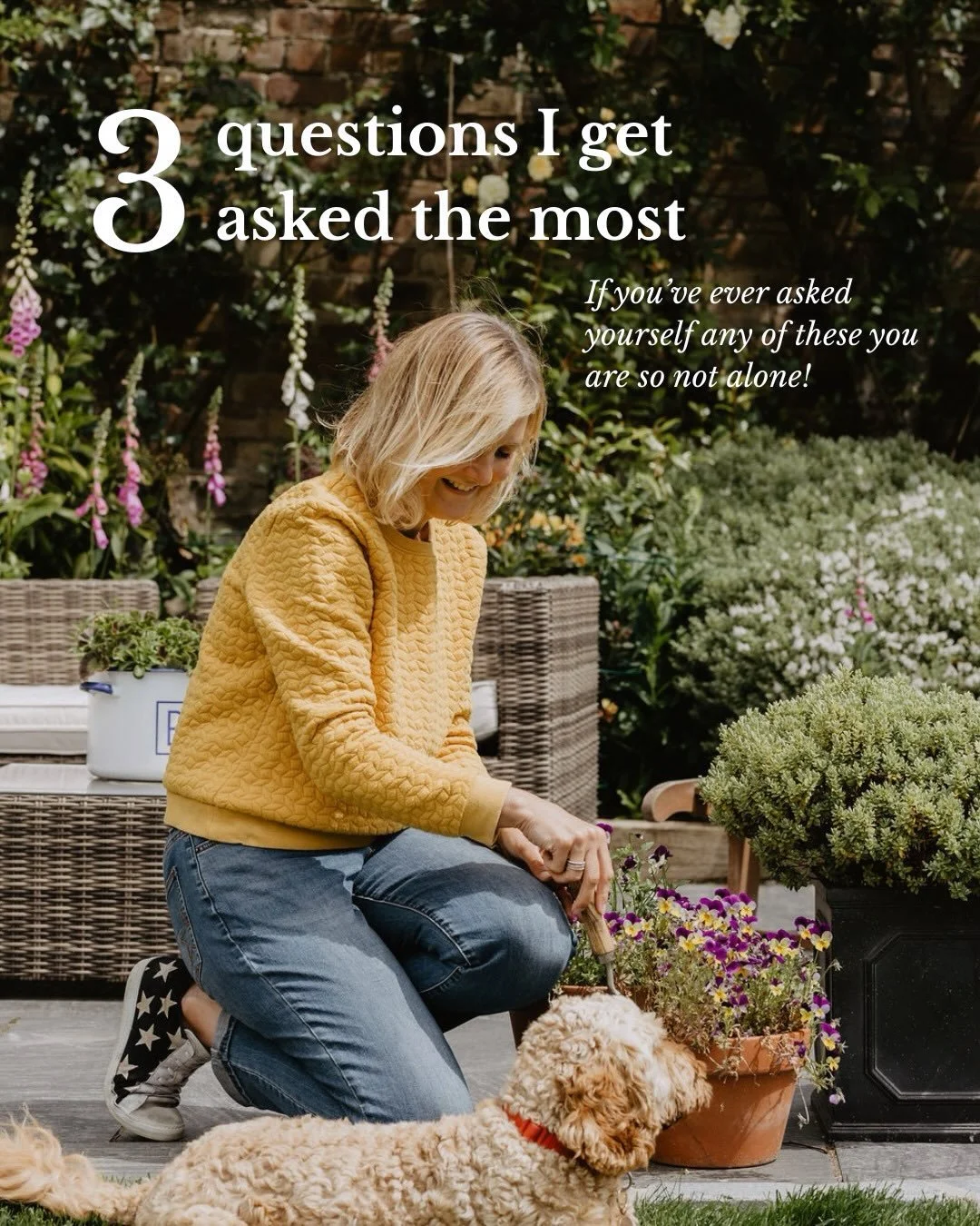 The 3 questions I get asked the most as a garden designer 👇🏼

1) Can I have year-round interest?
2) When&rsquo;s the best time to plant?
3) Can my garden be low maintenance?

The short answer to all of them is yes&hellip; but with the right plannin