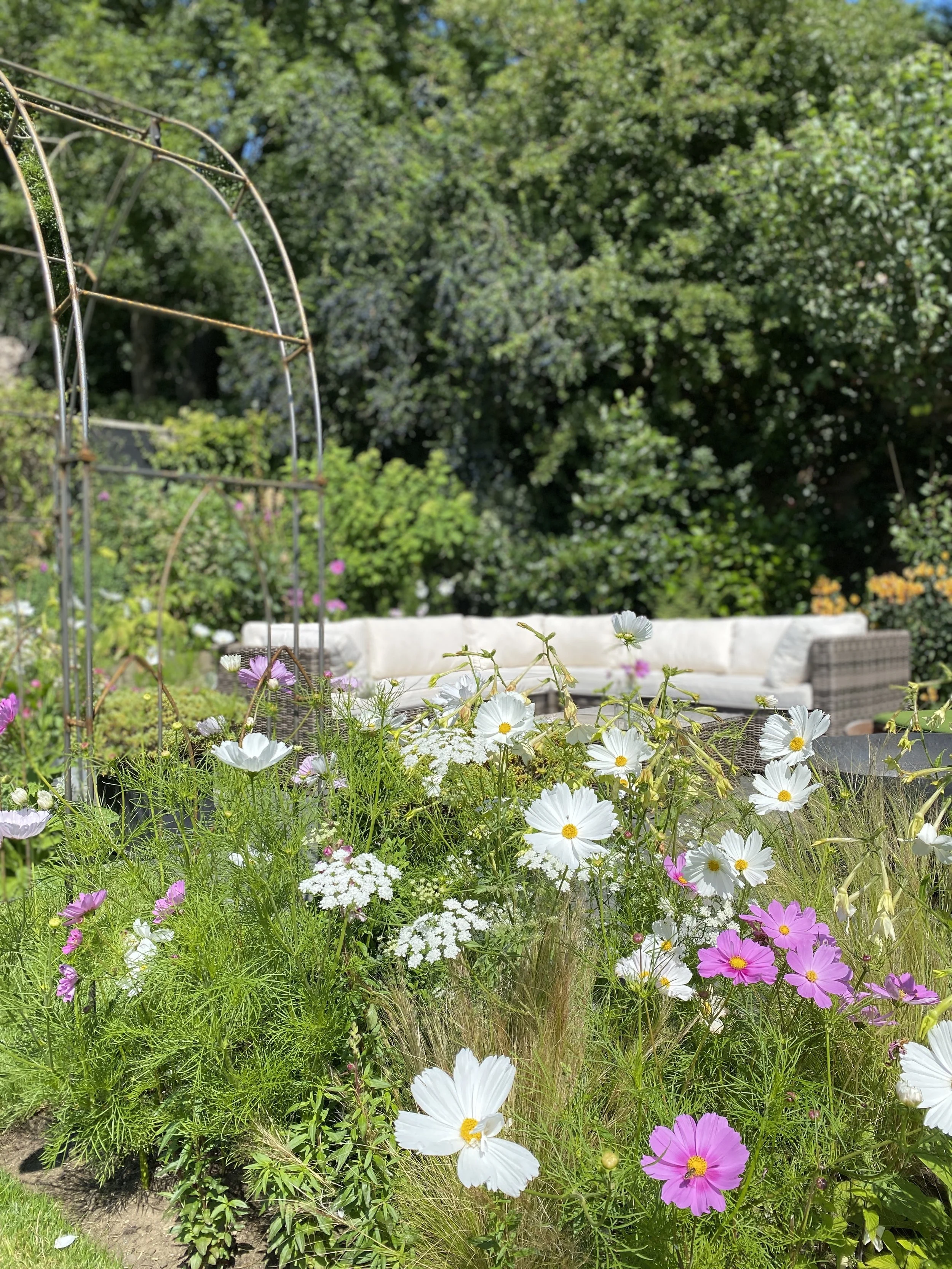 Image our garden 11.jpg