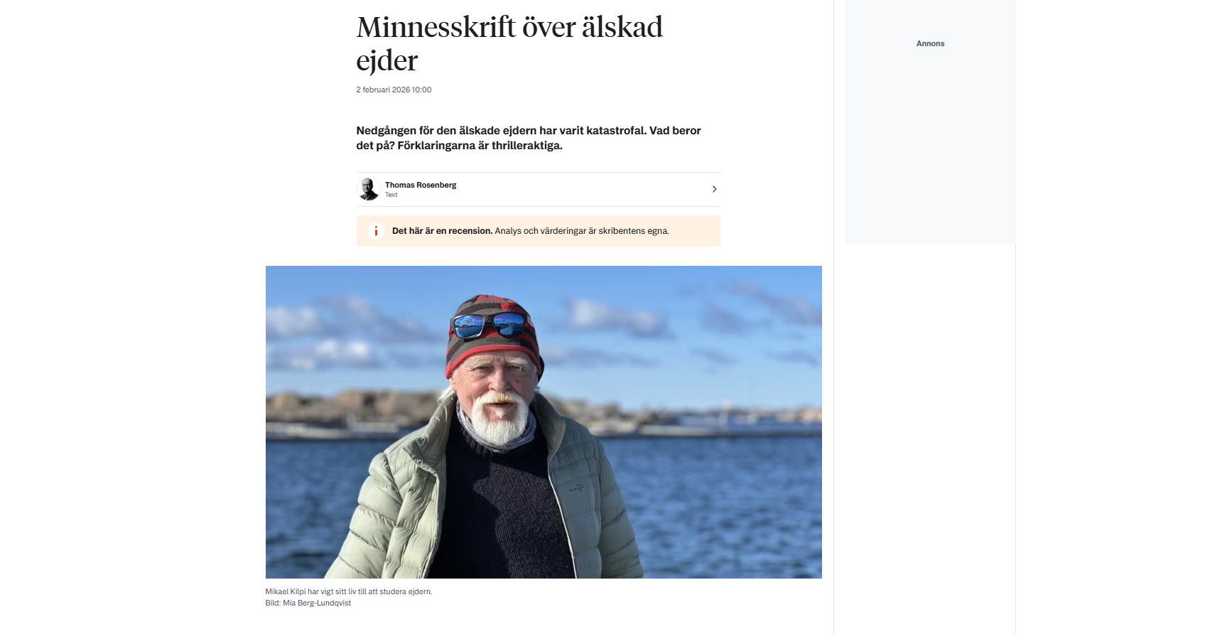 Ejdern - berättelsen om en skärgårdsfågel (Hufvudstadsbladet 2/2026)