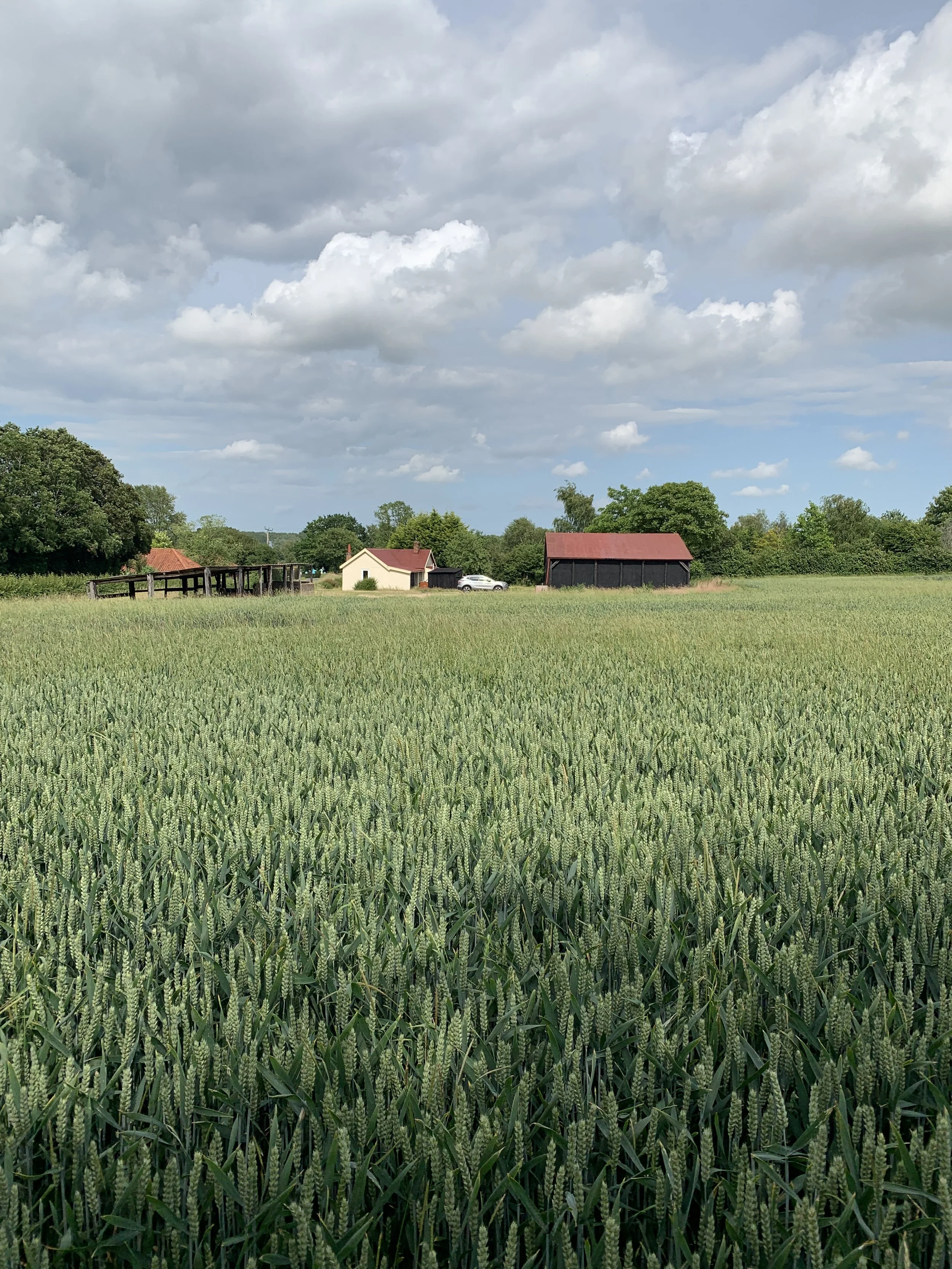 Existing rural site view across agricultural fields at Bungalow Farm in Cretingham, Suffolk prior to redevelopment