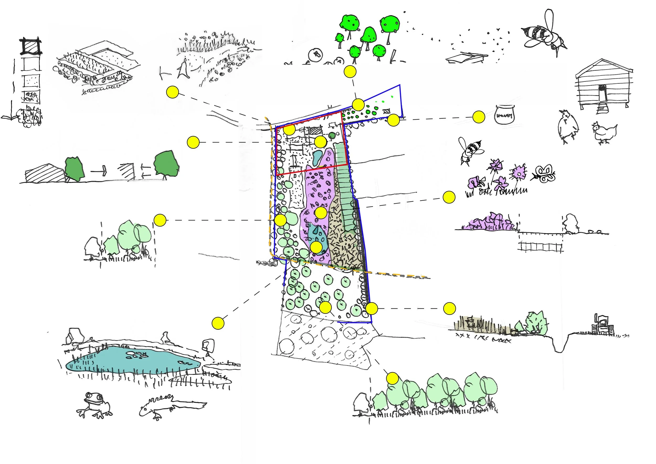 Bungalow Farm – Hand drawn landscape and biodiversity strategy sketch showing habitat creation, meadow planting, pond, orchard, wildlife corridors and ecological enhancements for the replacement dwelling in Cretingham, Suffolk
