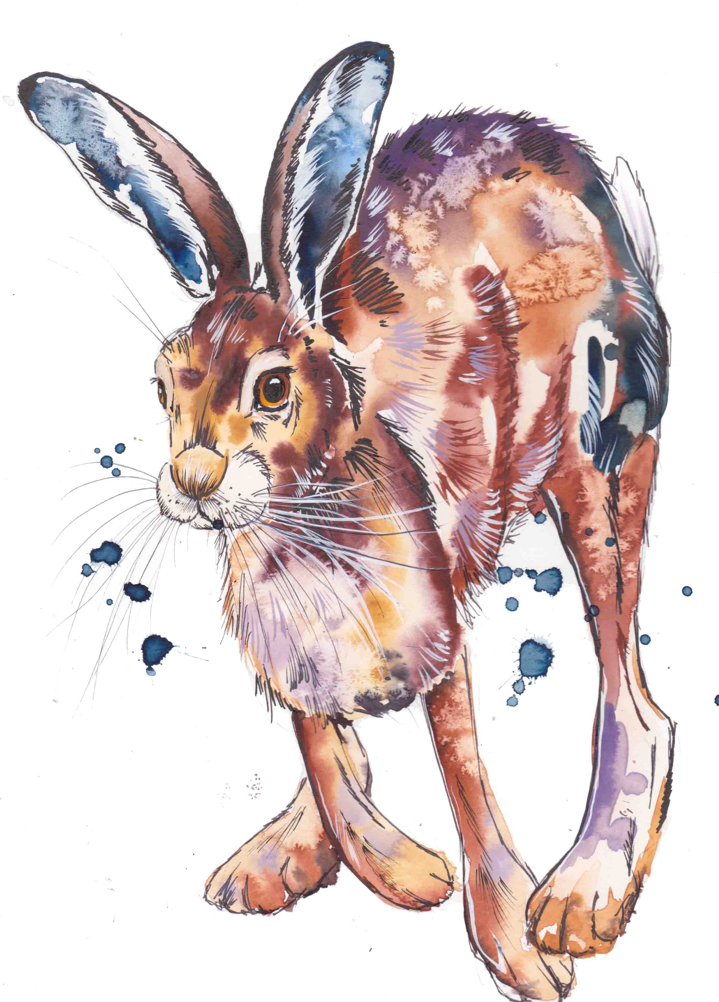 Gartur Stitch farm Hare.jpg