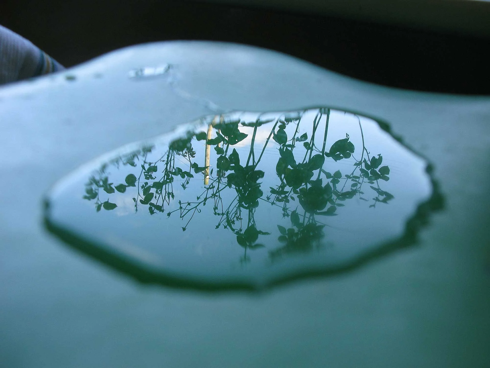 The World Outside 
‘Water and Sky’ exhibition, Praxis Gallery, Minneapolis 2025 