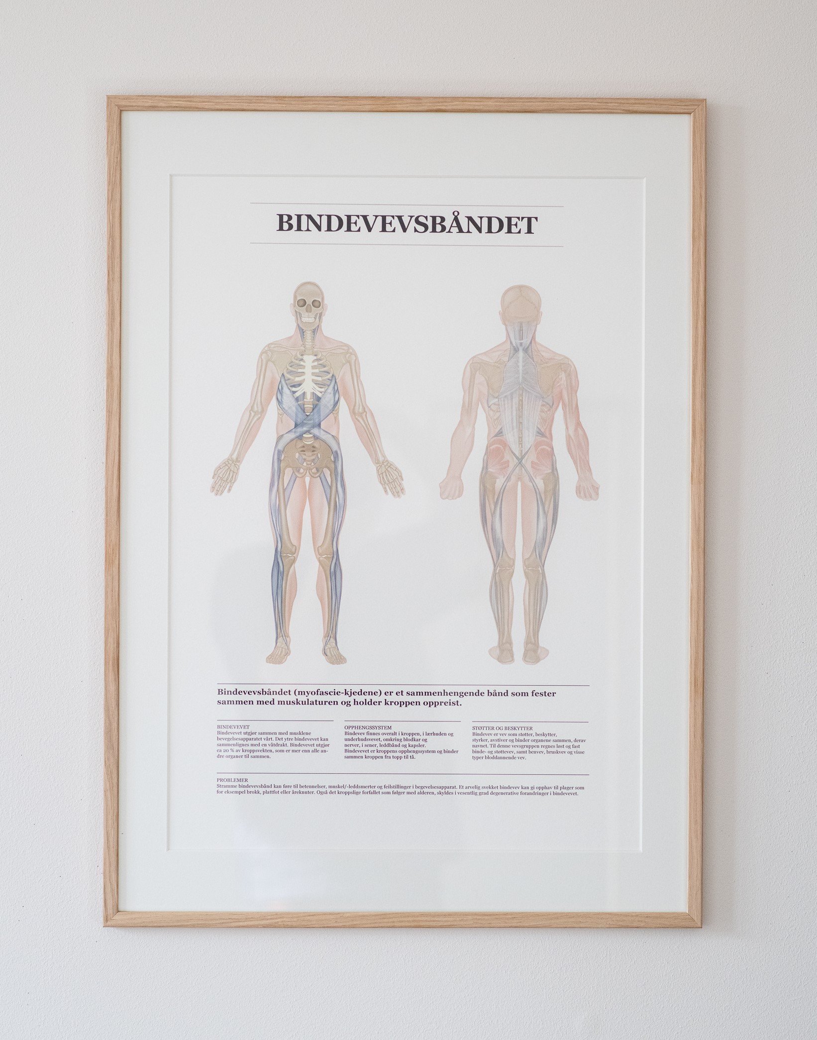 Bindevevsbånd