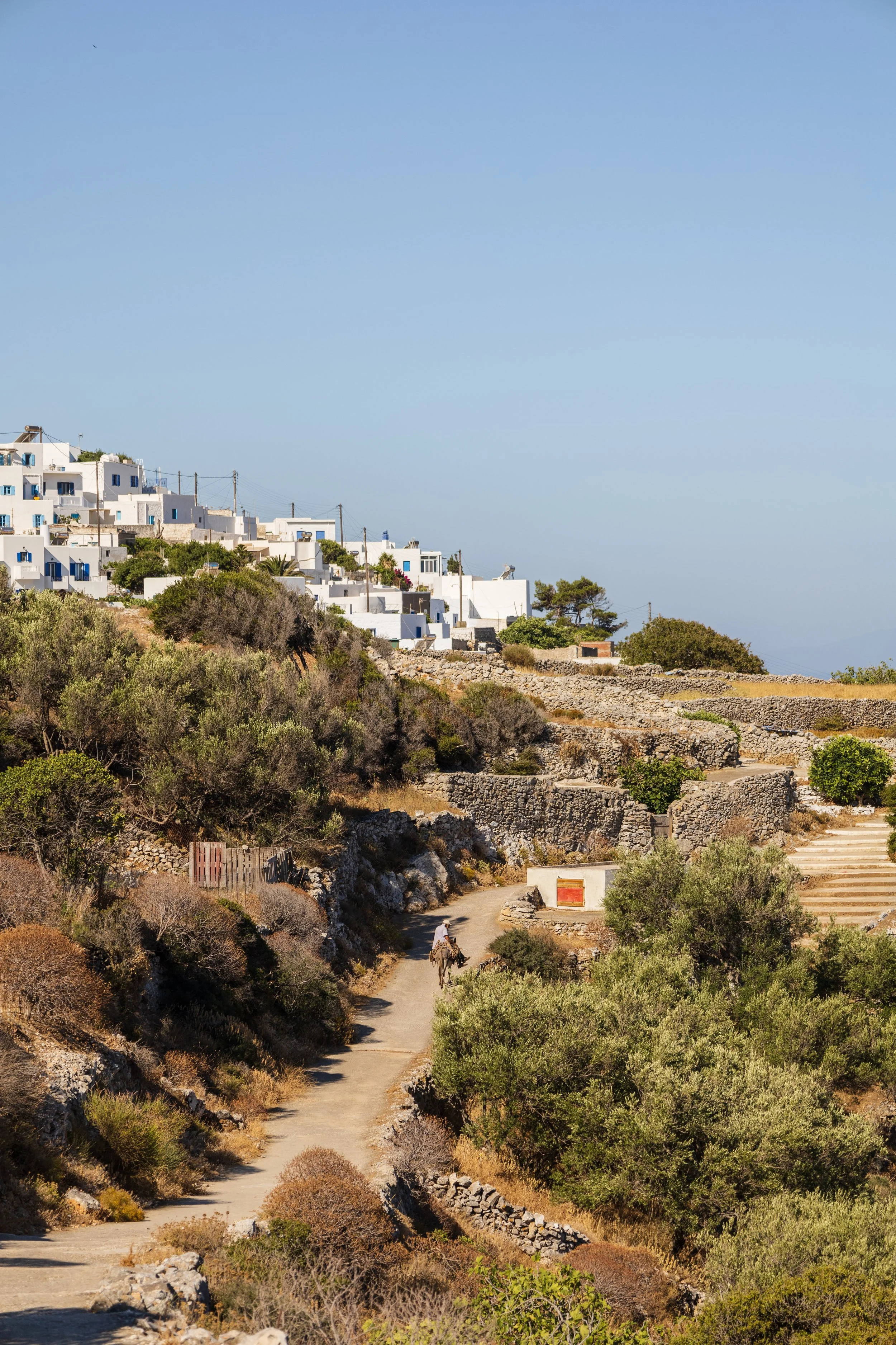 The old ways.
A man rides his donkey into the village of Langada, Amorgos, where until recently there were no roads - there are still no roads in or beyond the village to this day.