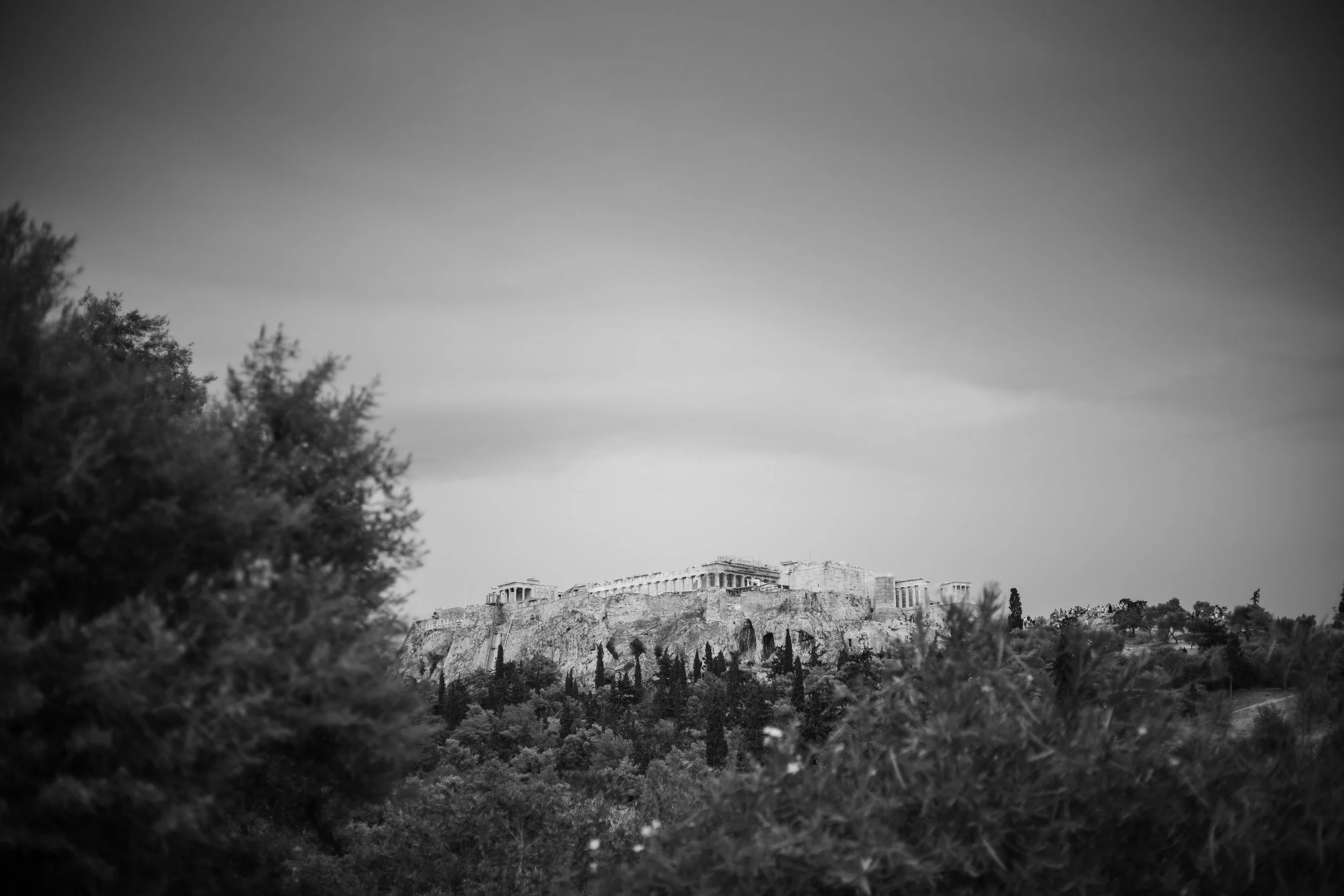 IMG_1432.jpg