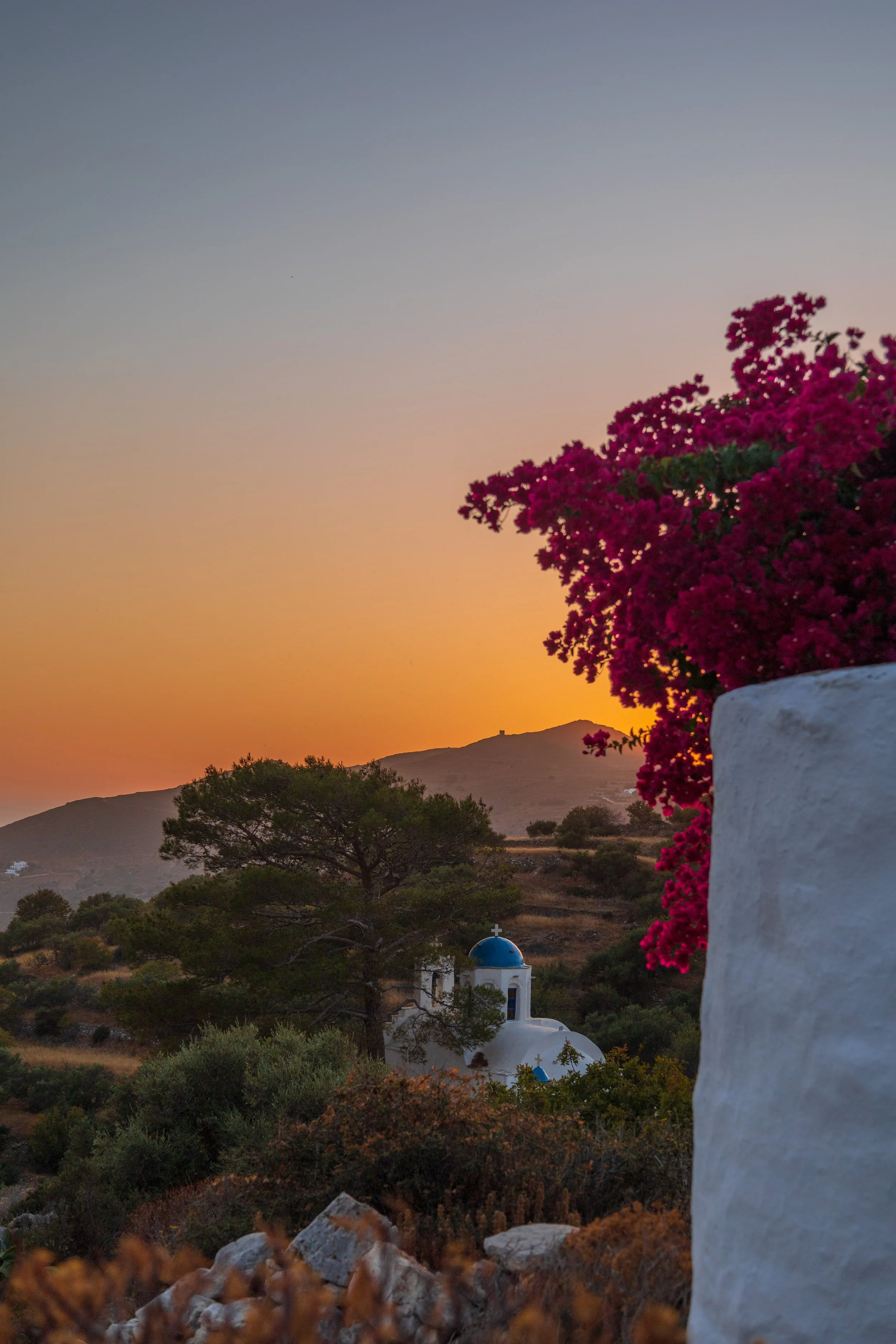 Bougainvilleas at sunset.
Stroumbos, Amorgos.