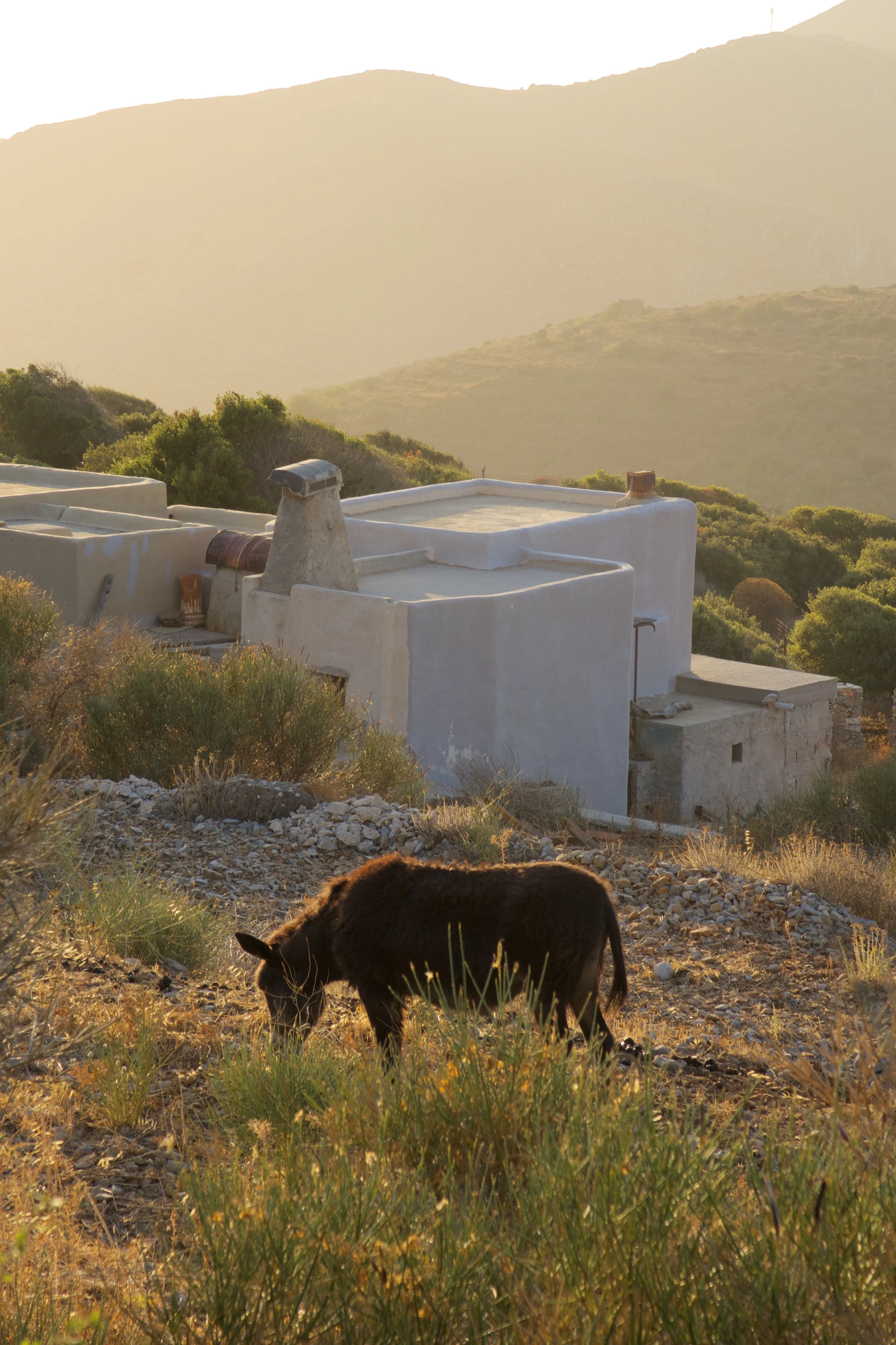 Golden hour, northern Amorgos.