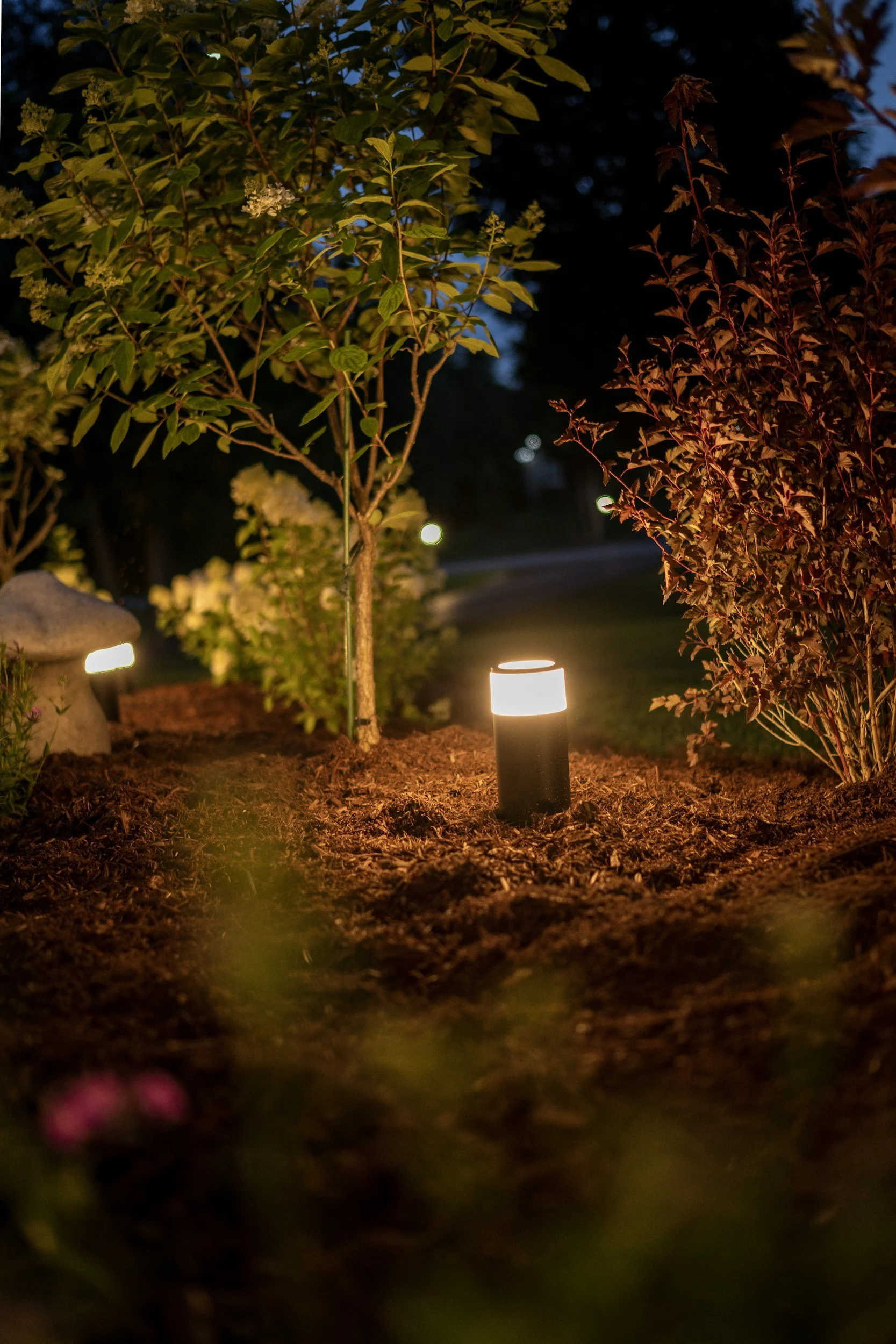 Low-voltage landscape light glowing in a mulched garden bed at night