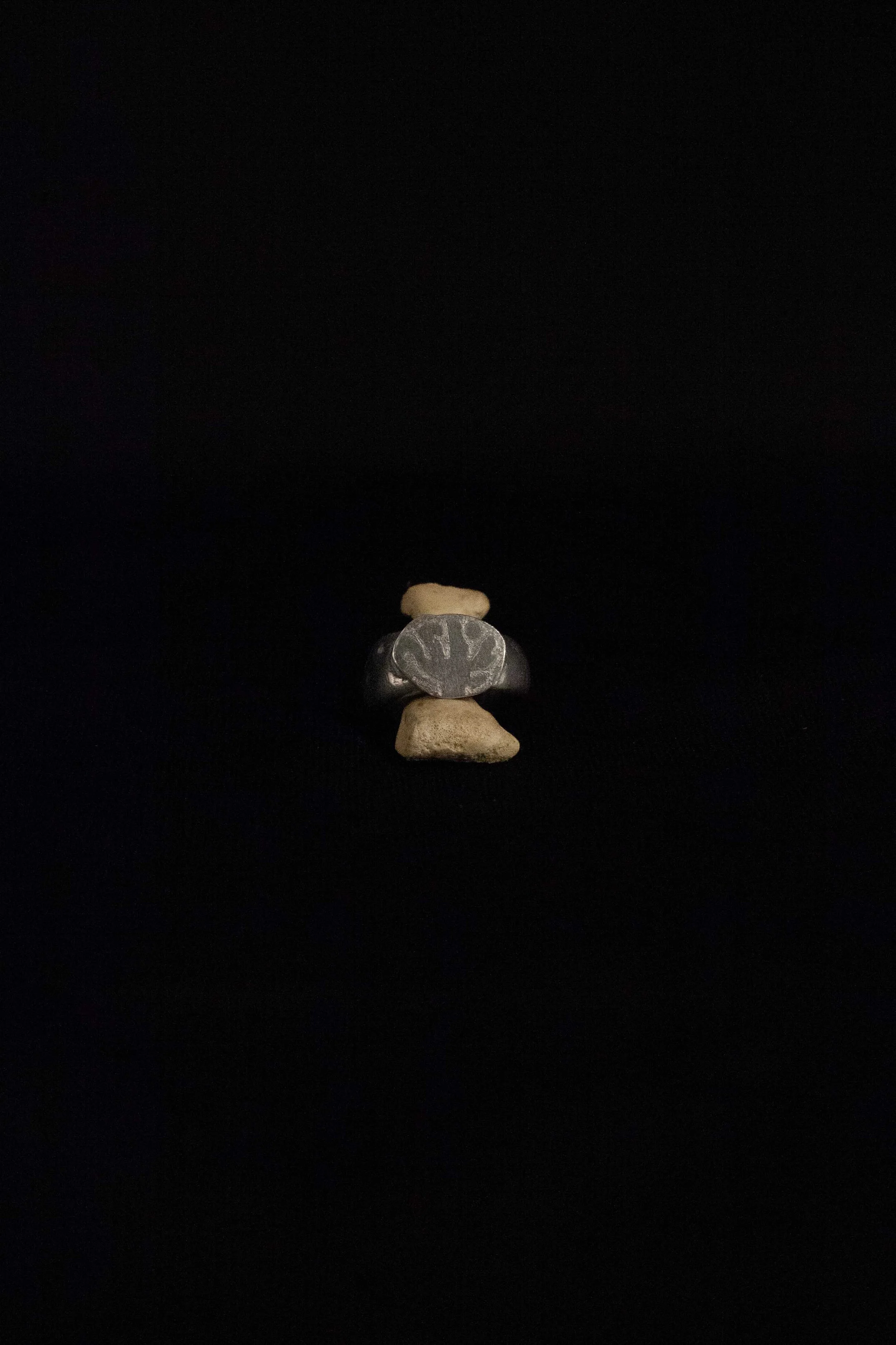 Desert Scape Signet Ring