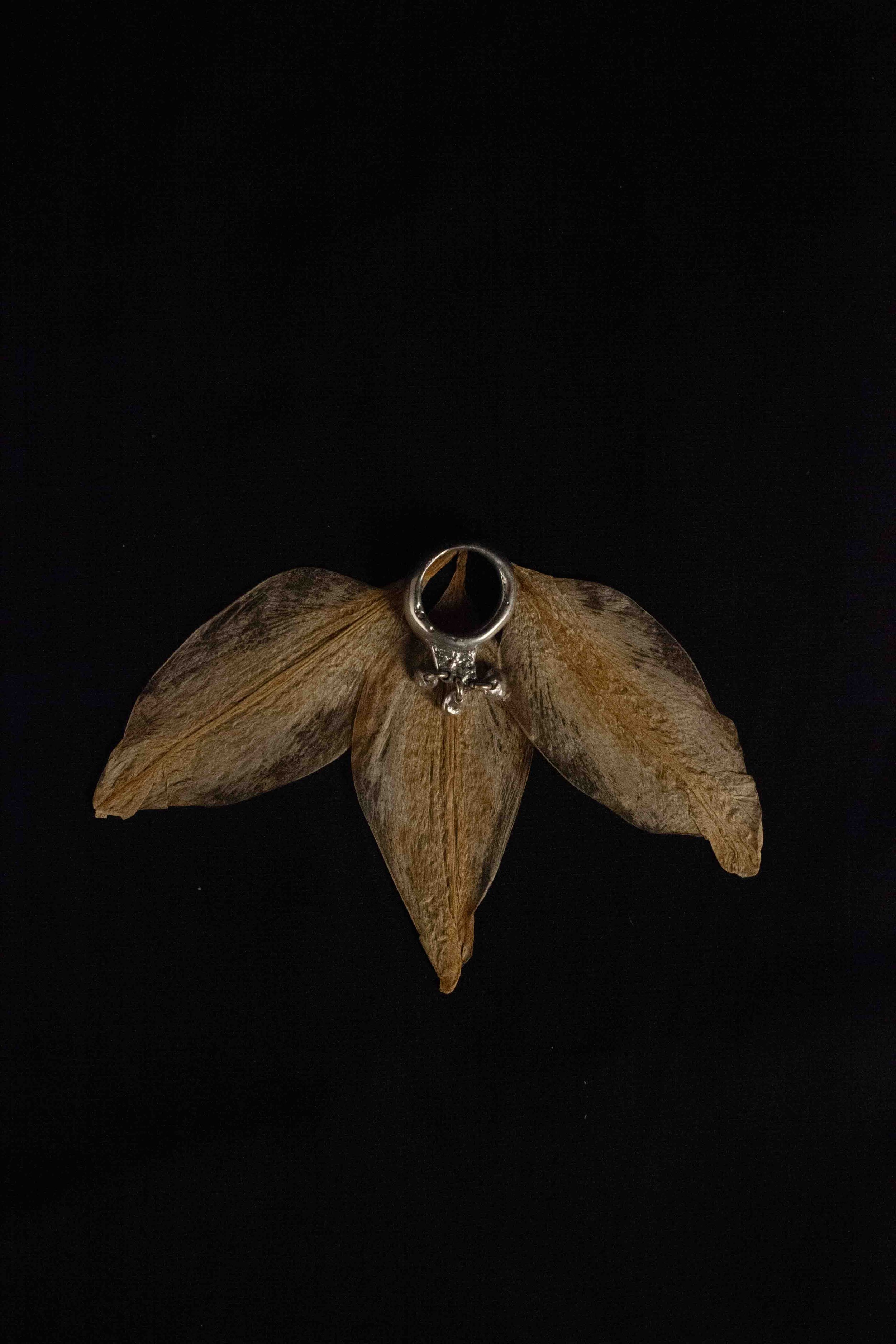 Suspended Spill Ring