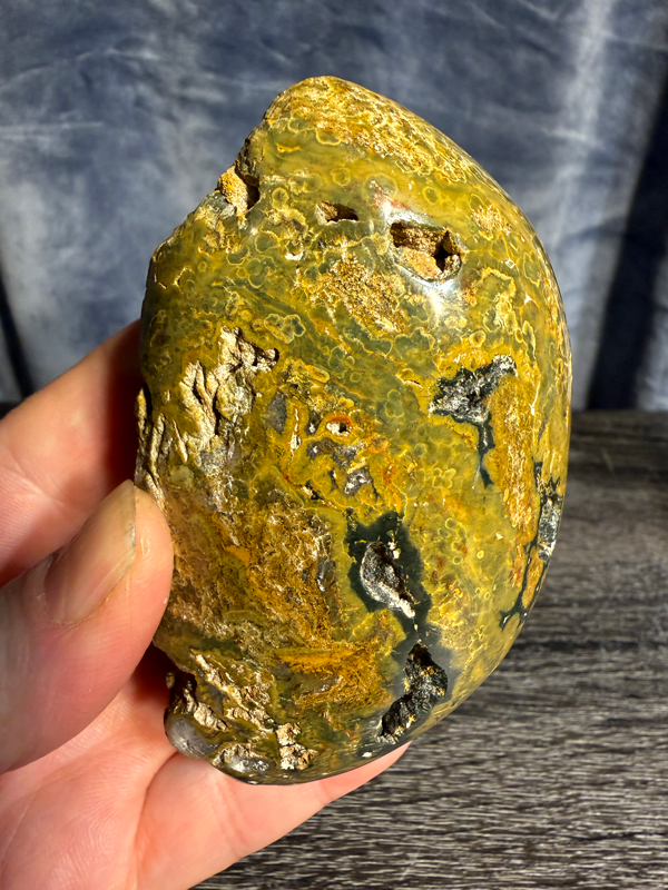 Bumble-Bee-Jasper-Rock-03.png