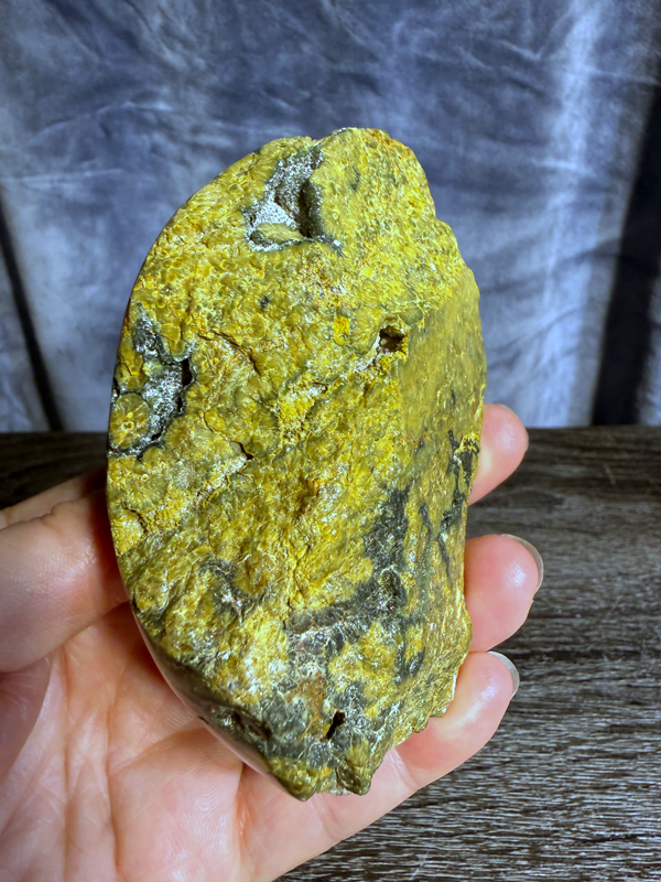 Bumble-Bee-Jasper-Rock-04.png