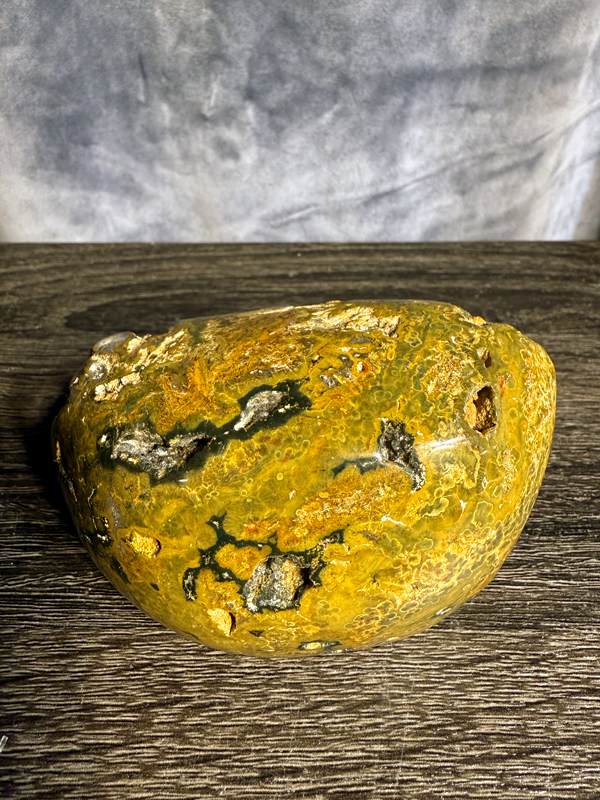 Bumble-Bee-Jasper-Rock-02.png
