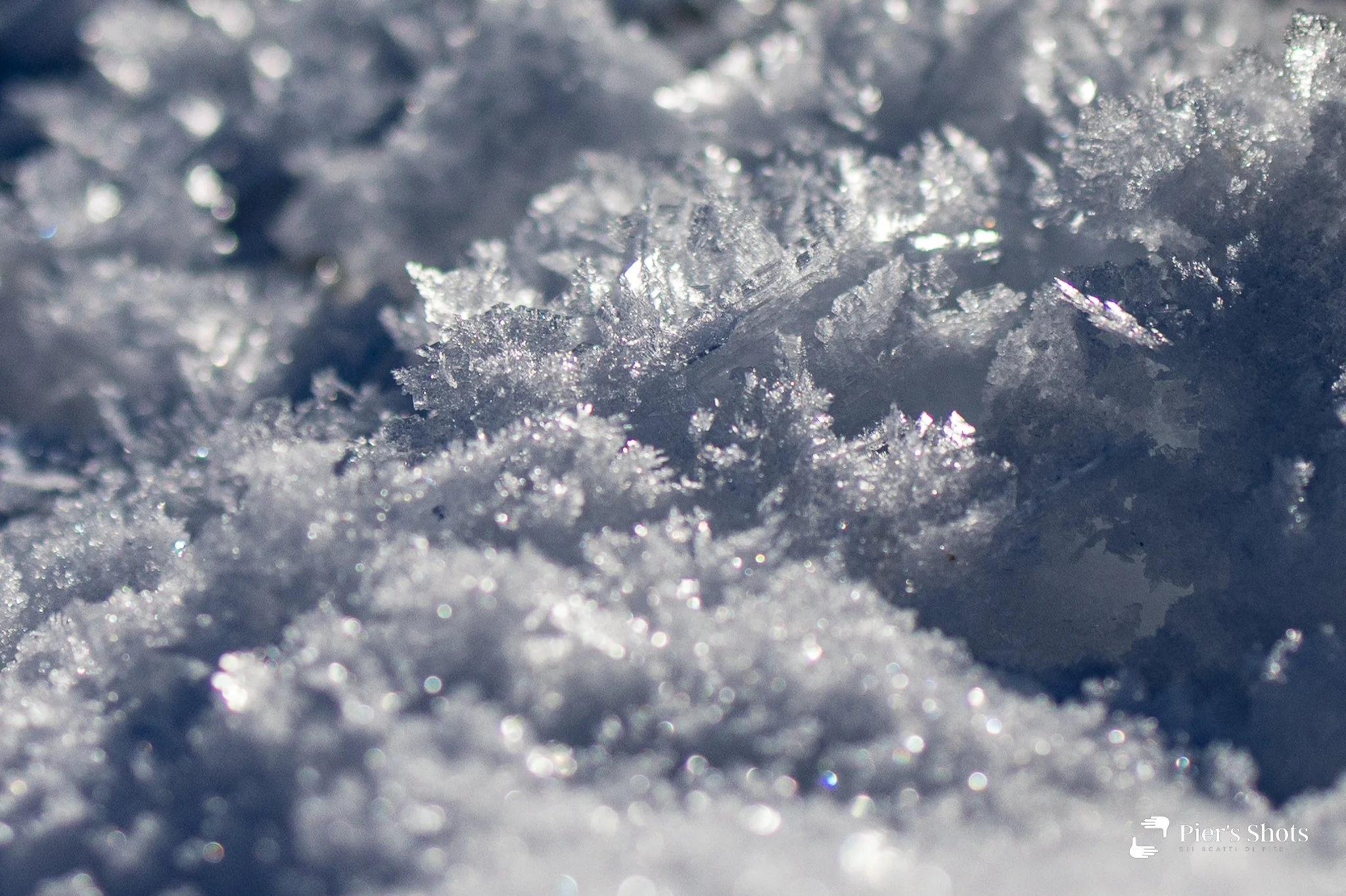 Foresta di cristallo