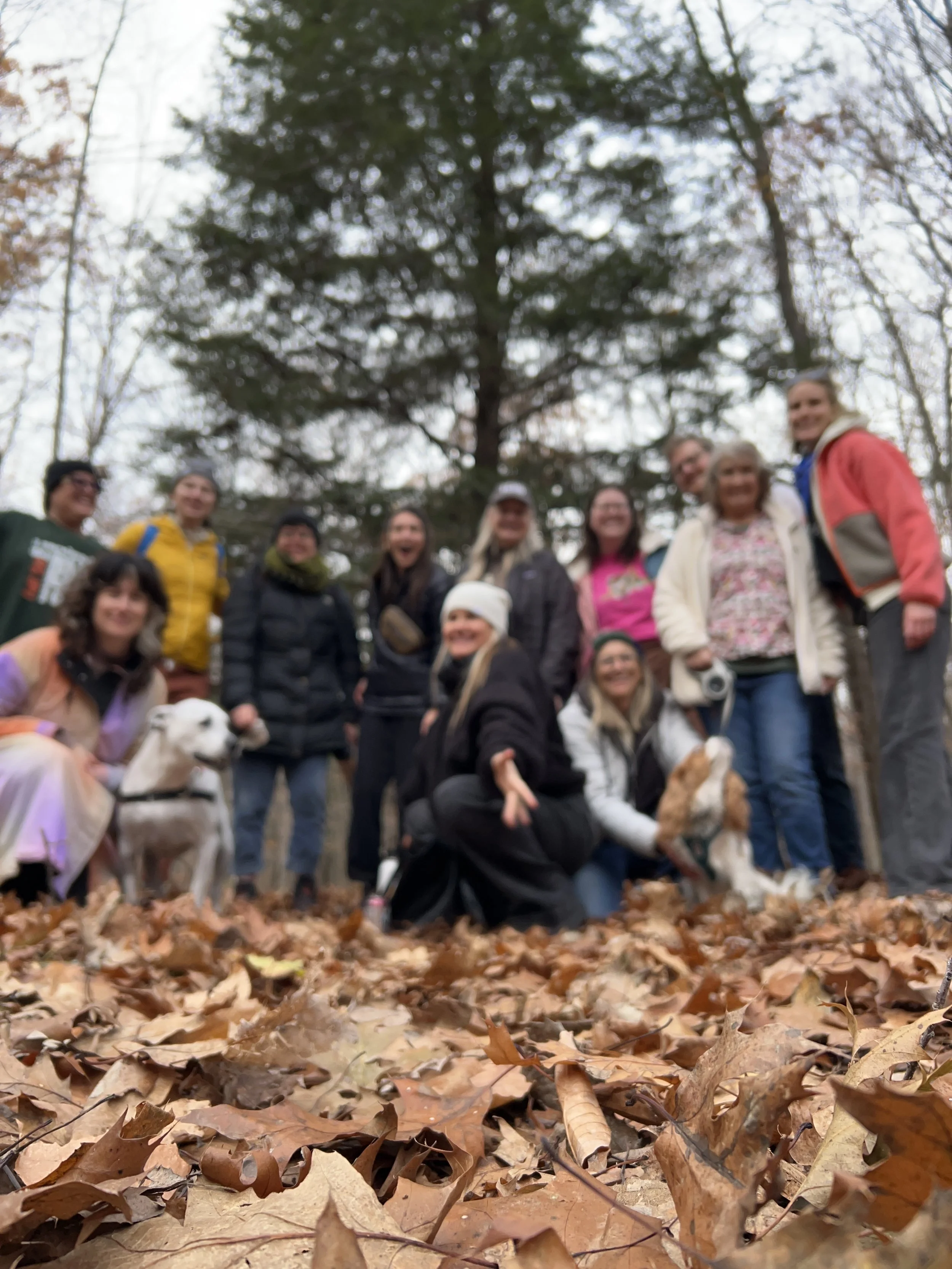 Group of people in a forest with leaf-covered ground, some with dogs, smiling for a photo.