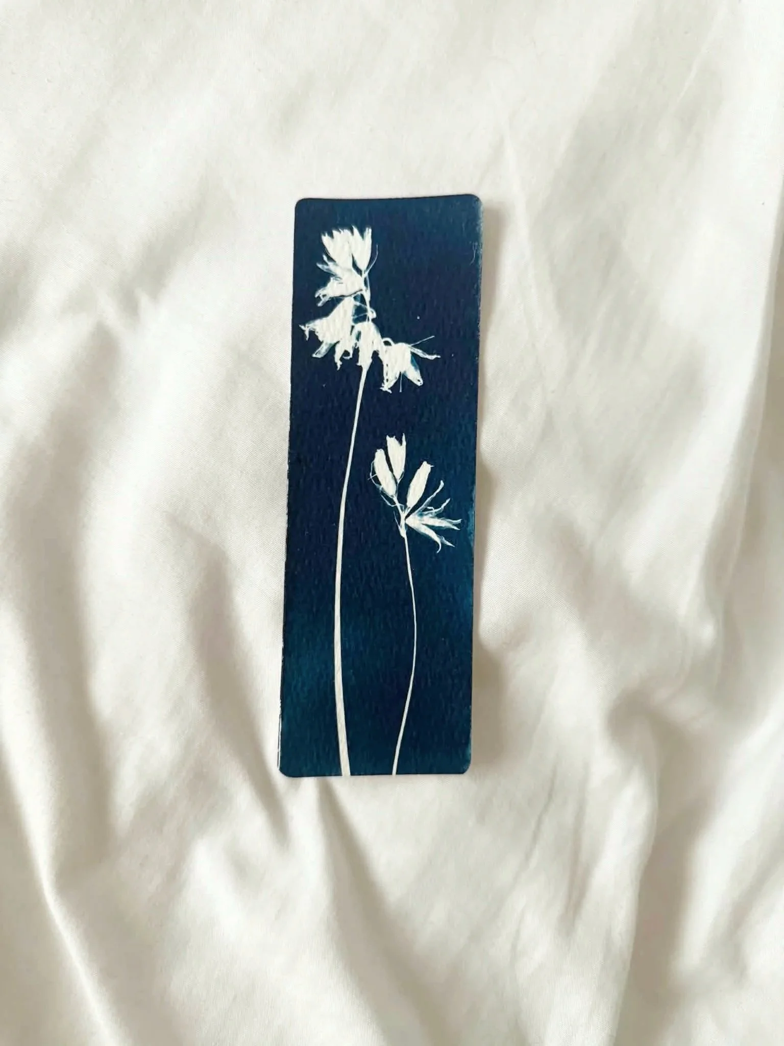 bluebell3.jpg