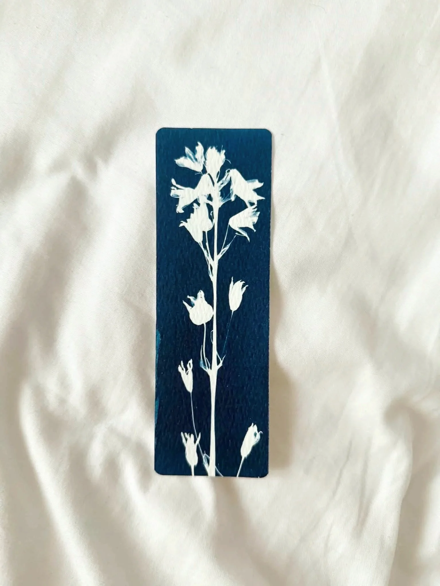 bluebell1.jpg