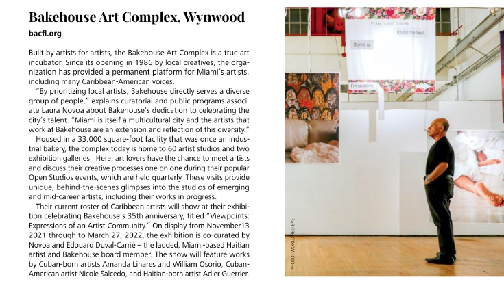 Miami Under the Influence of Art - Rachelle J Gray.png