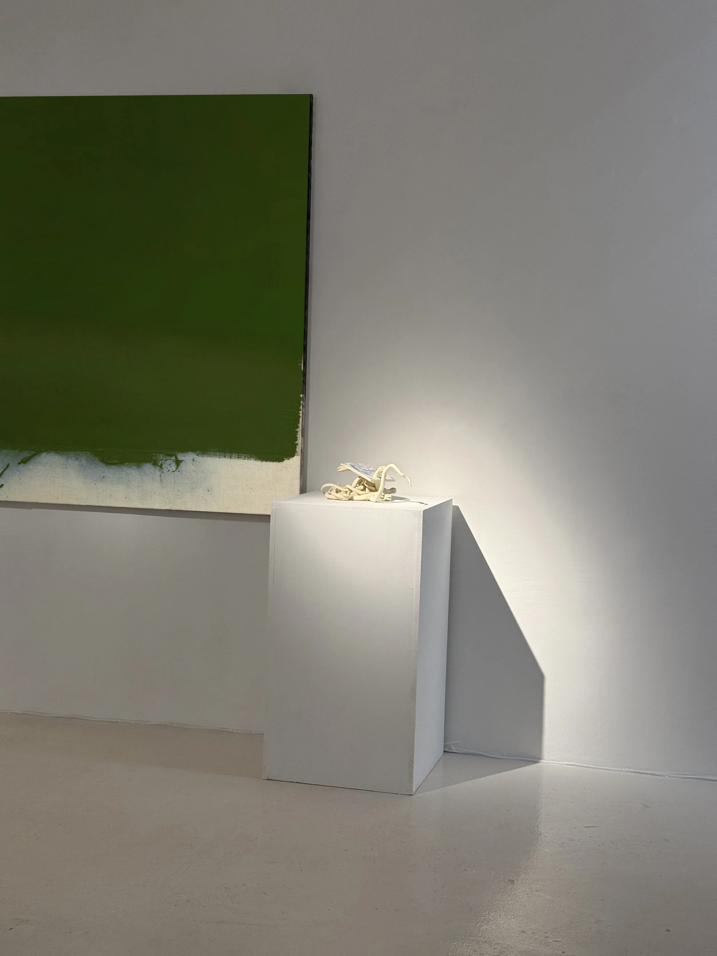 atticus magerramova2.JPG