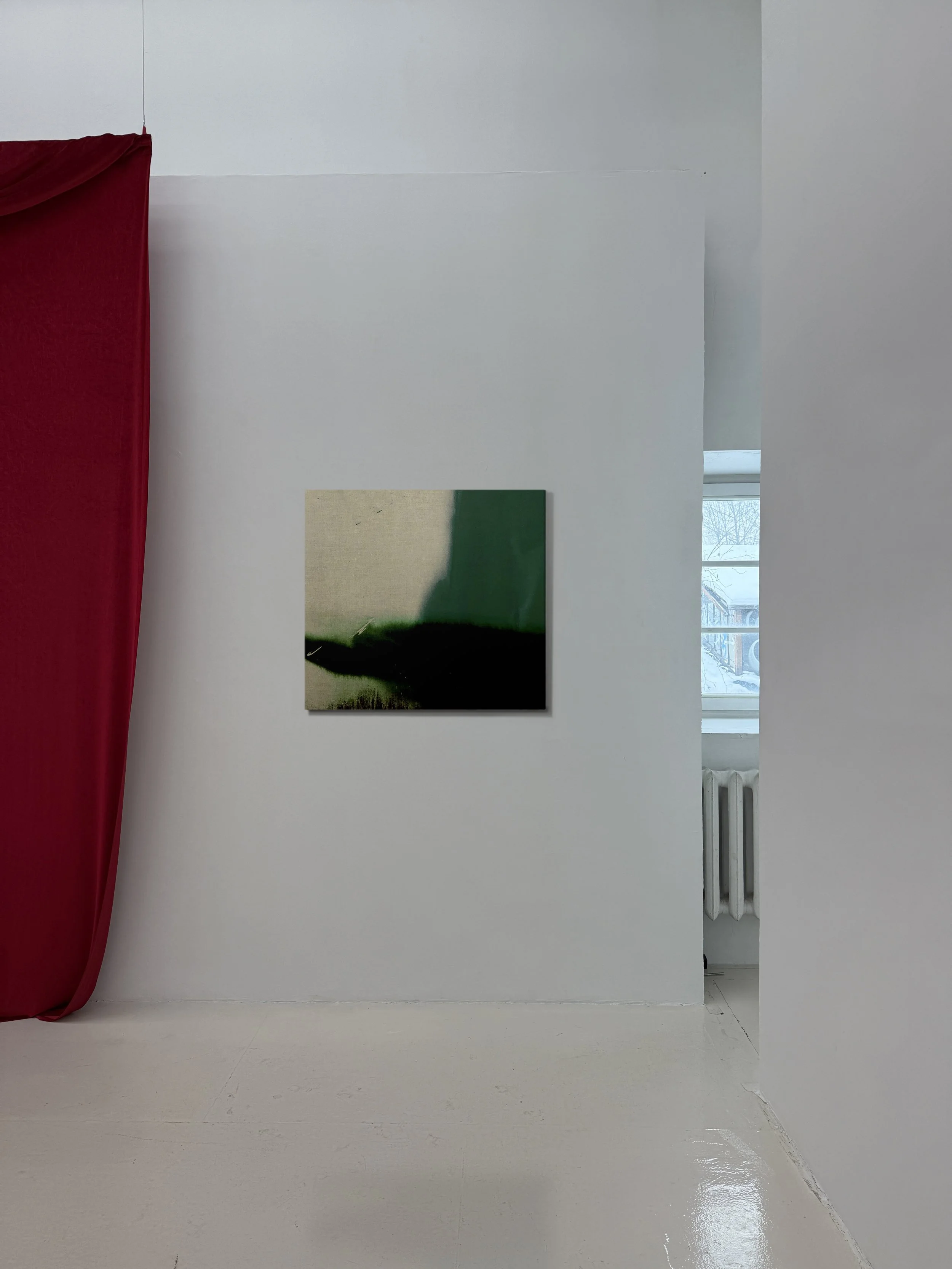 atticus magerramova1.JPG