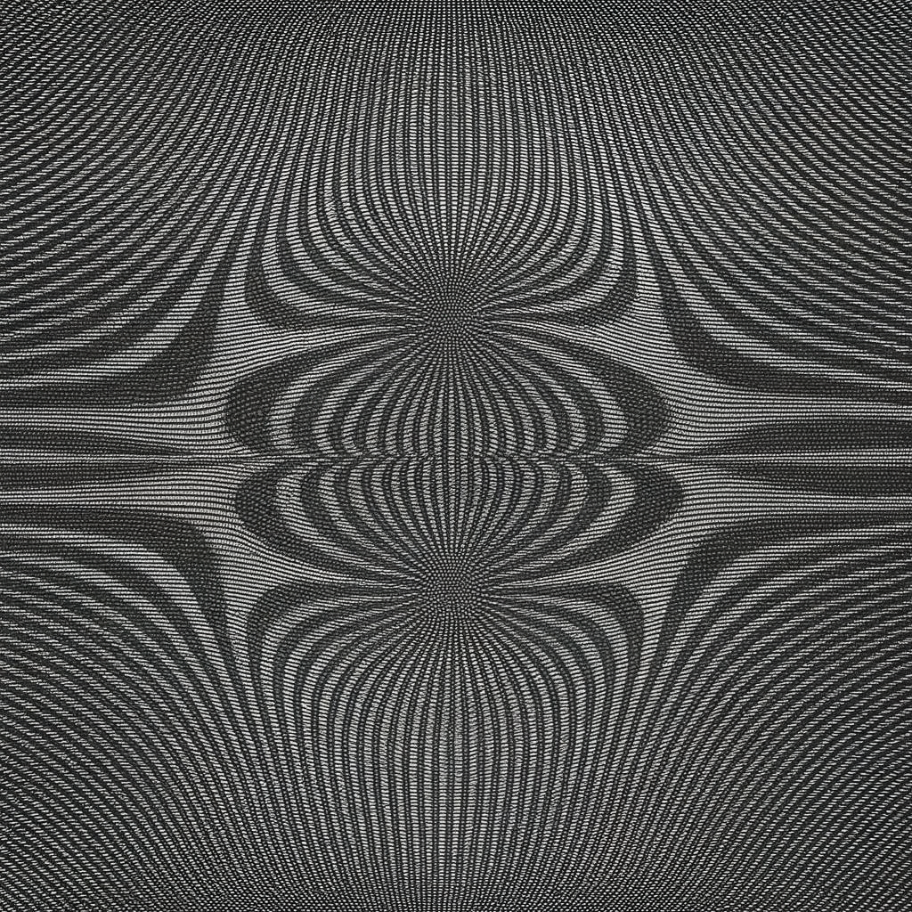 Vector Fields