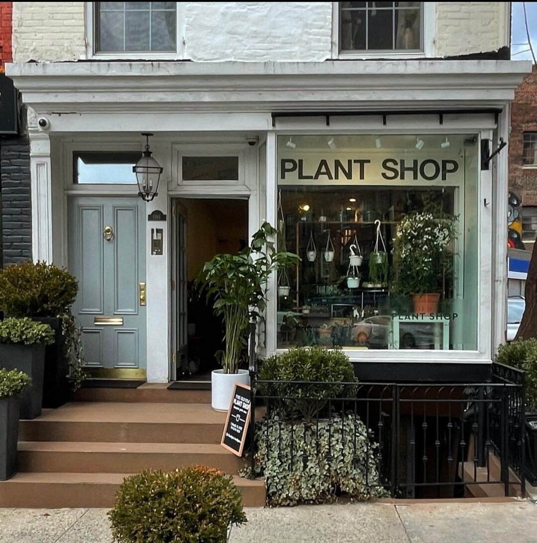The Old Yew Plant Shop is a tiny sanctuary of botanical delights. From lush greens to rustic pots, this hidden gem is a haven for plant lovers in the West Village and Chelsea. They also offer plant styling, landscape design and in-home plant care, if