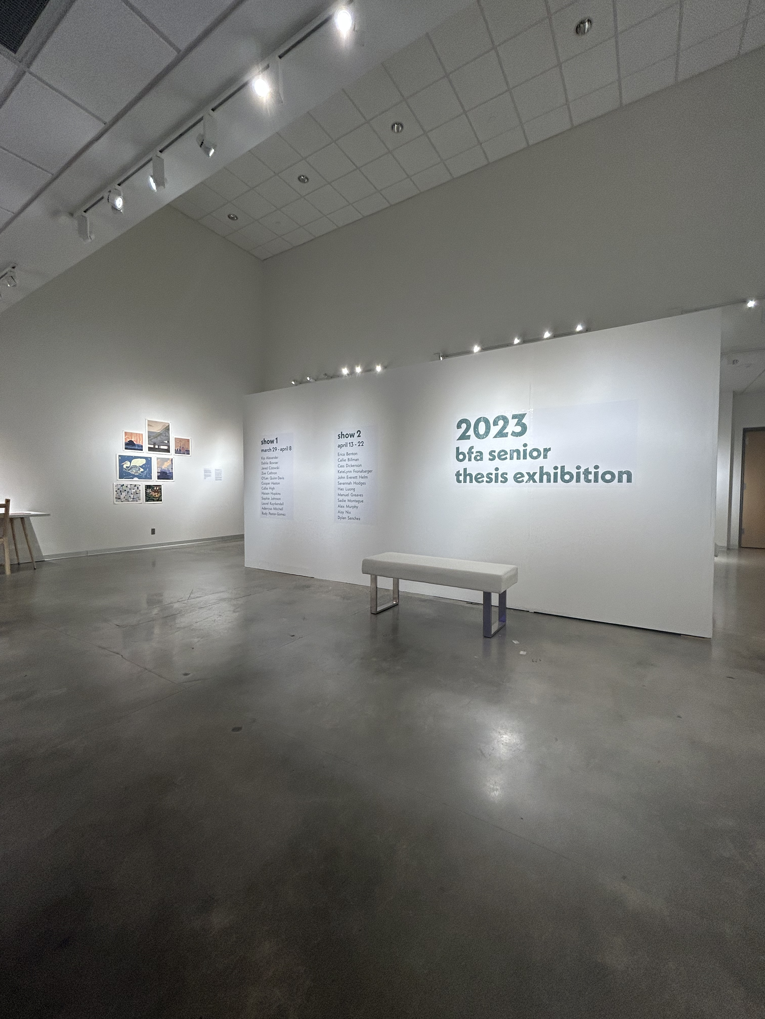 BFA Senior Thesis Exhibition