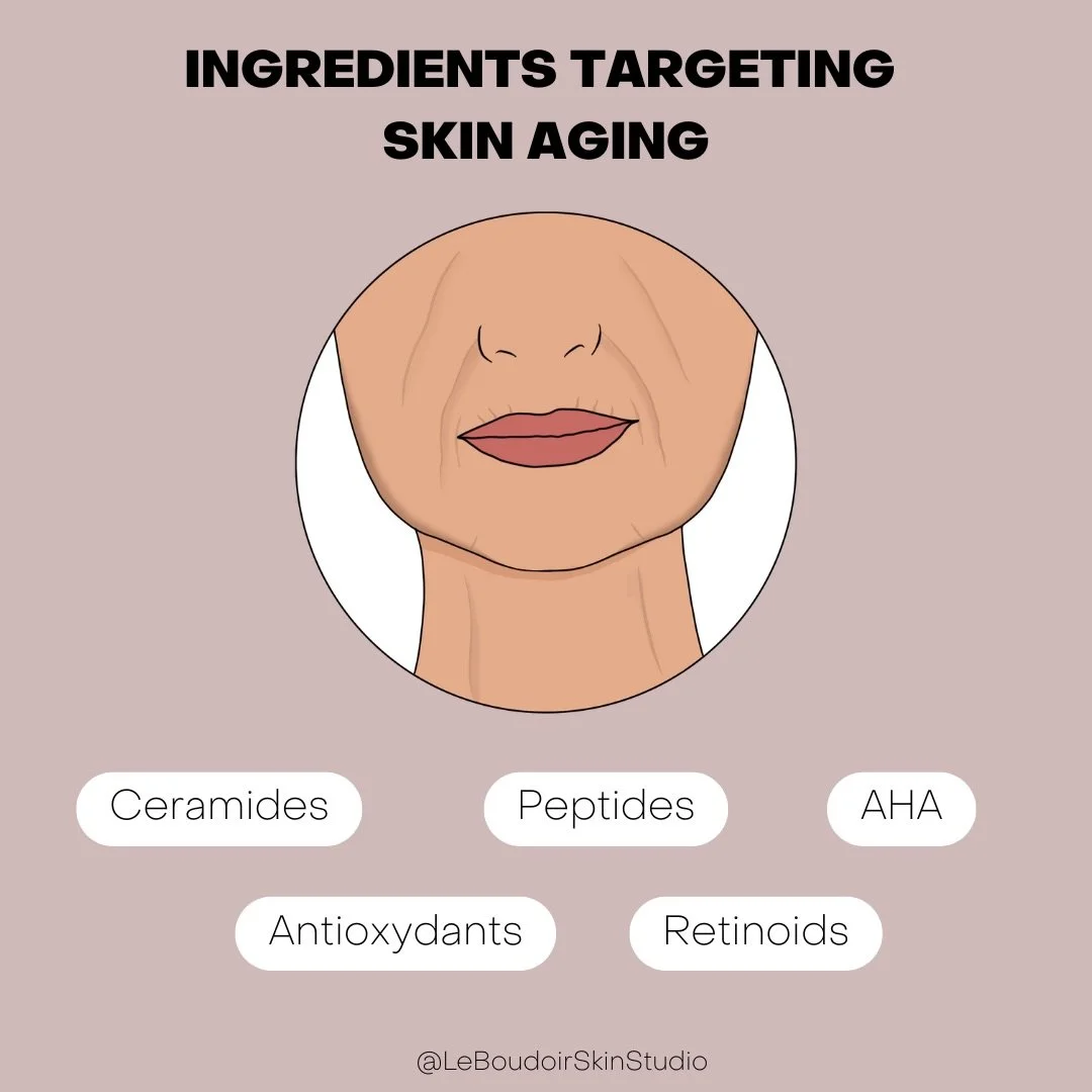 ✨ Ingredients that target skin aging ✨

🤍 Ceramides
Lipids naturally found in the skin. They strengthen the skin barrier, prevent moisture loss and improve elasticity

🤍 Peptides
 Peptides are like messengers : they signal the skin to boost collage