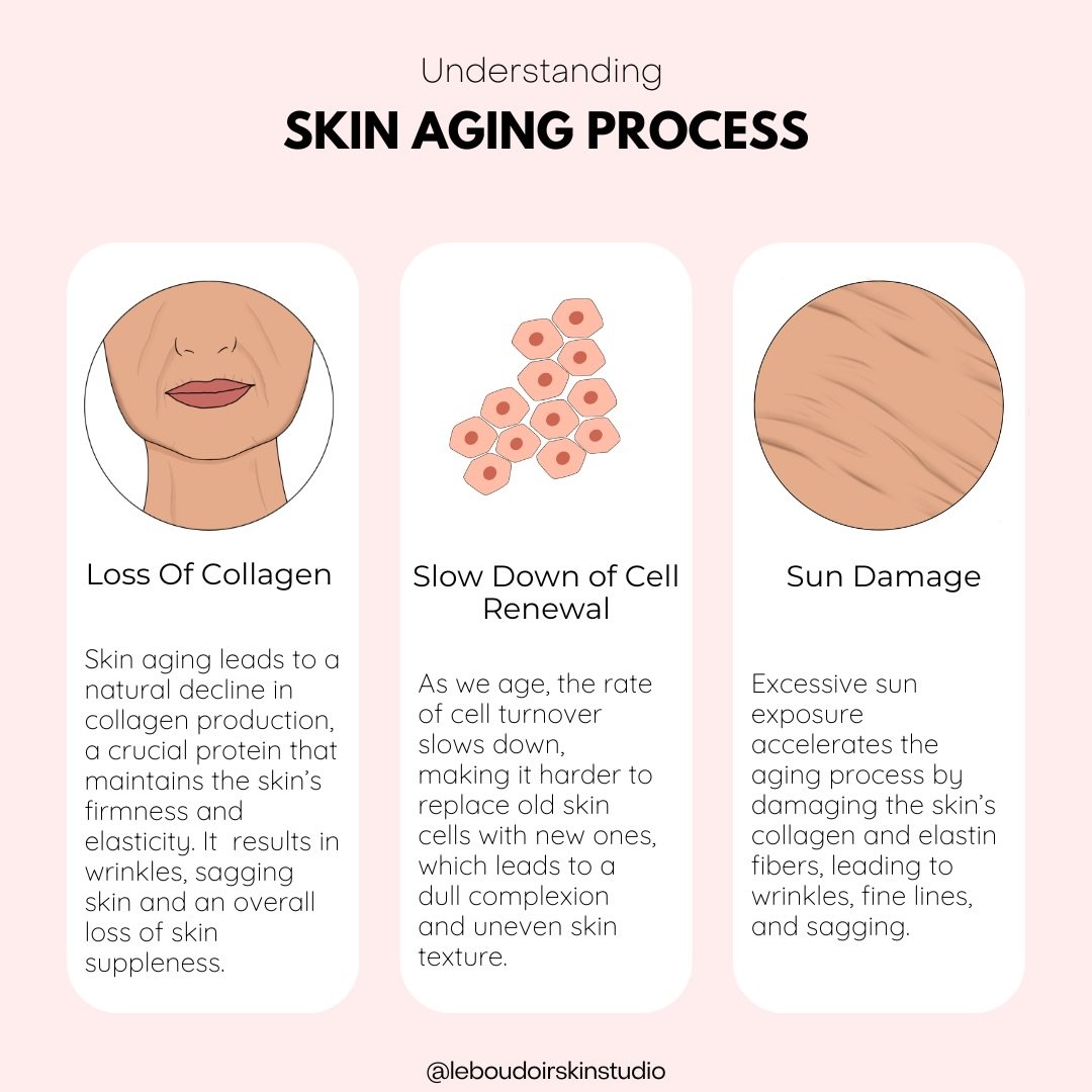 ✨ Understanding the skin aging process ✨

Aging is natural but how we support our skin along the way makes all the difference.

Over time, we experience:
&bull; A loss of collagen &rarr; leading to fine lines, sagging &amp; loss of firmness
&bull; A 