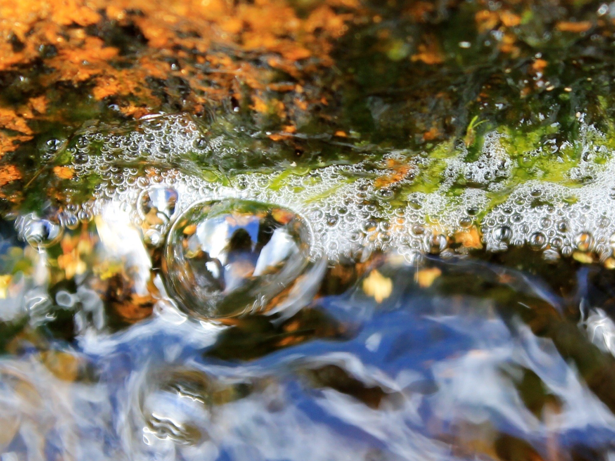 Ireland River Bubble Close Up - 2014-09-08.jpeg