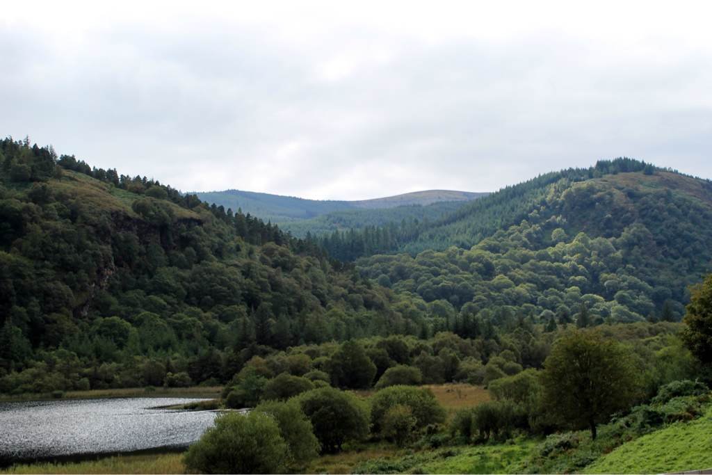 Ireland Lake Landscape.jpeg