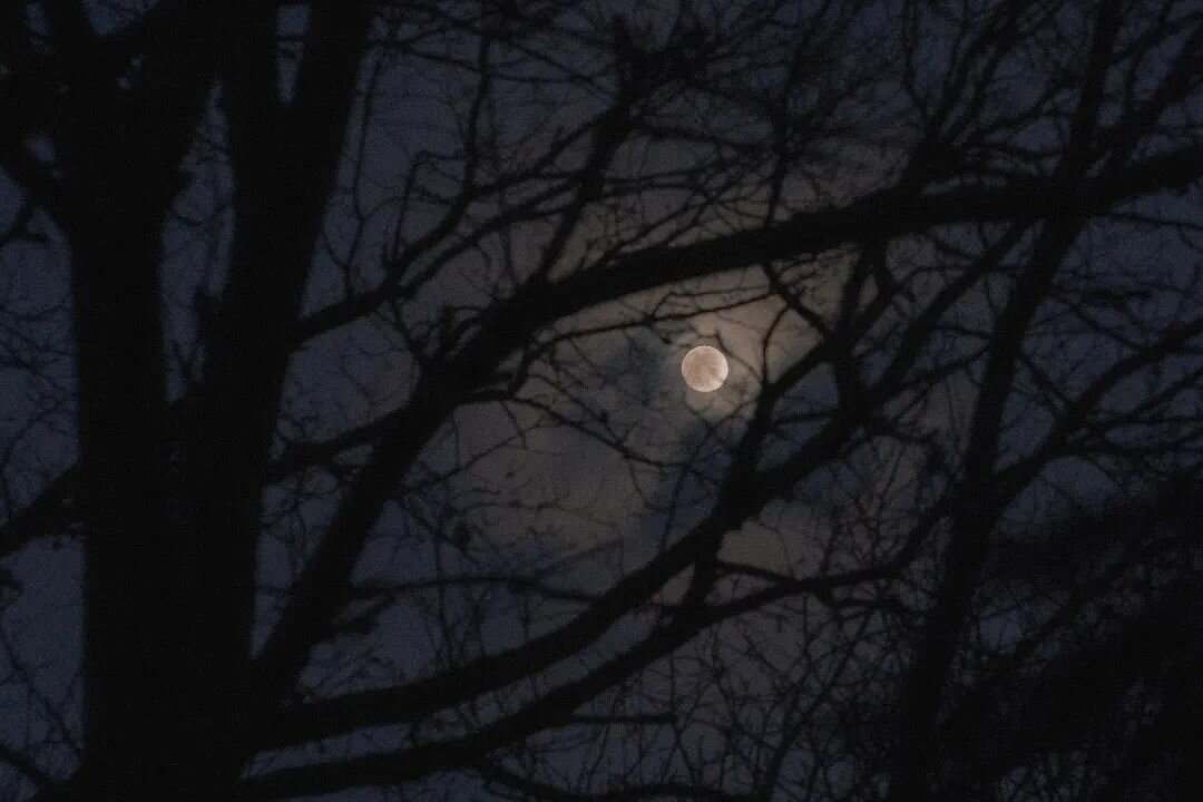 let's gather in the frosty winter woods and howl at the wolf moon, yes?