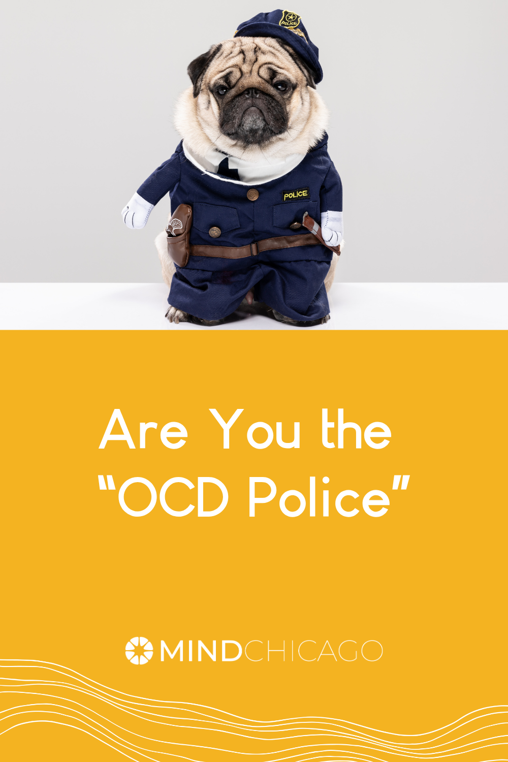 Are You The “OCD Police”