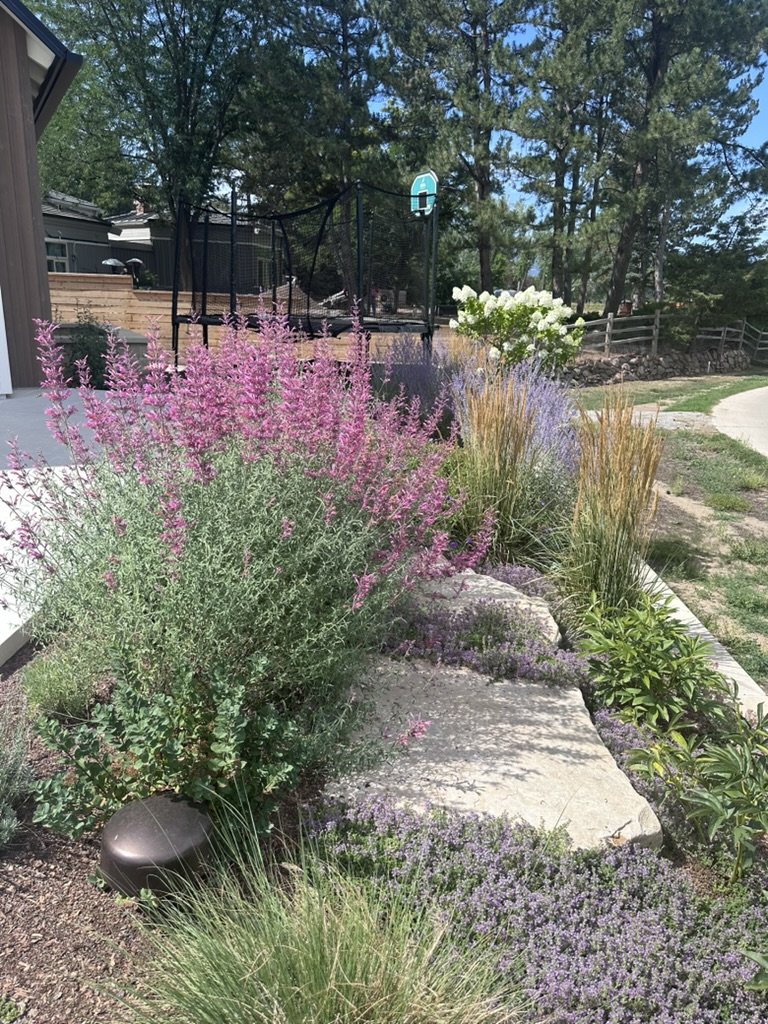 Bloom24.jpeg